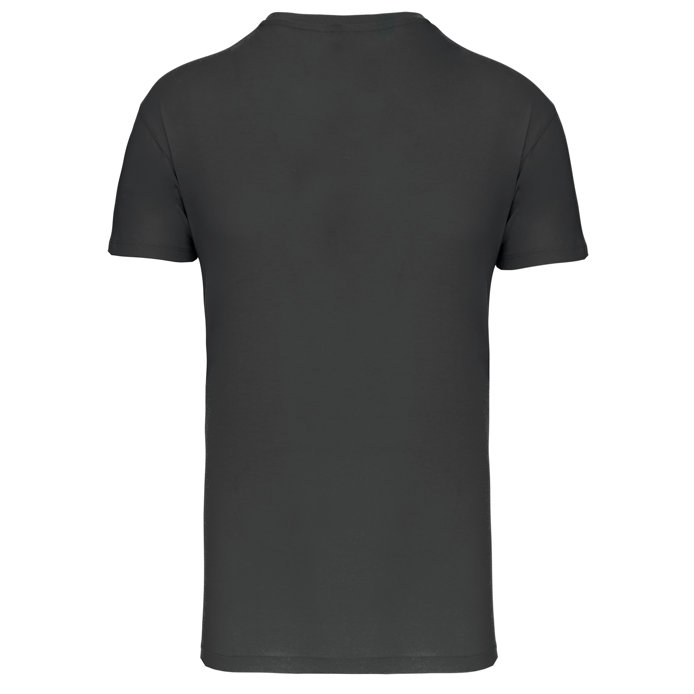 Herren-T-Shirt Bio150 IC mit V-Ausschnitt