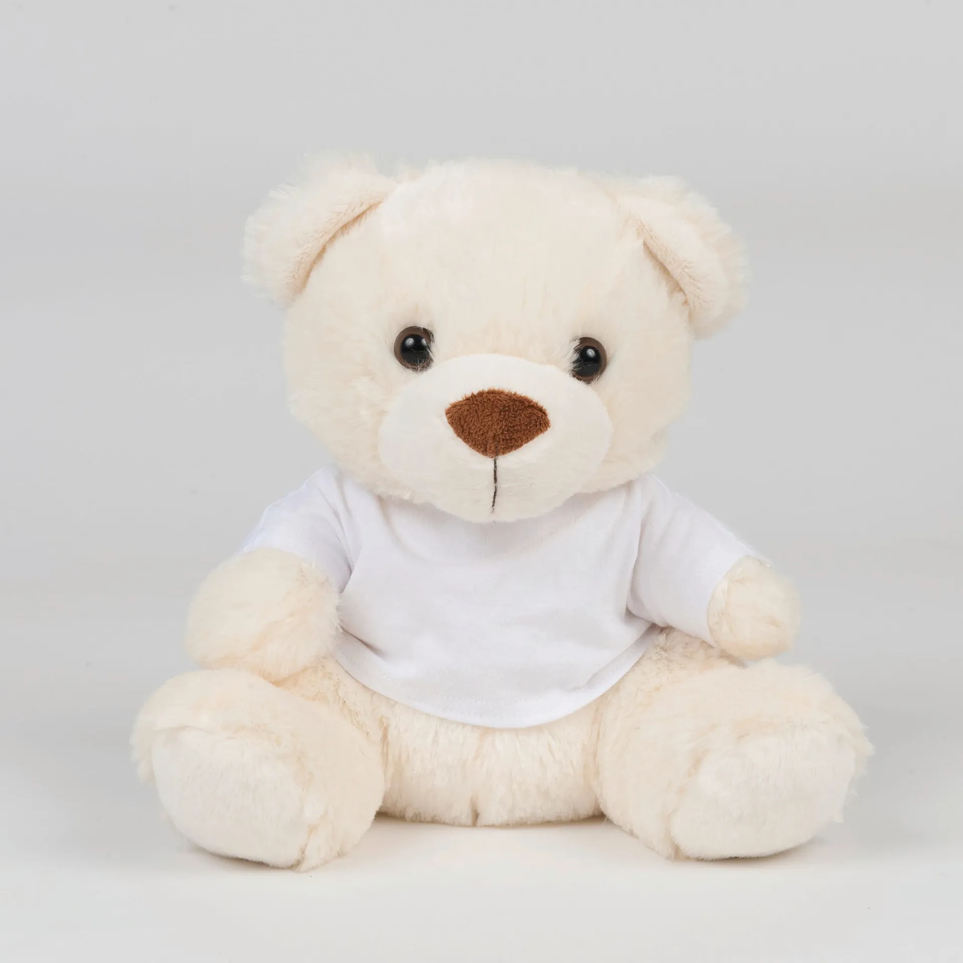 Teddybär mit T-Shirt