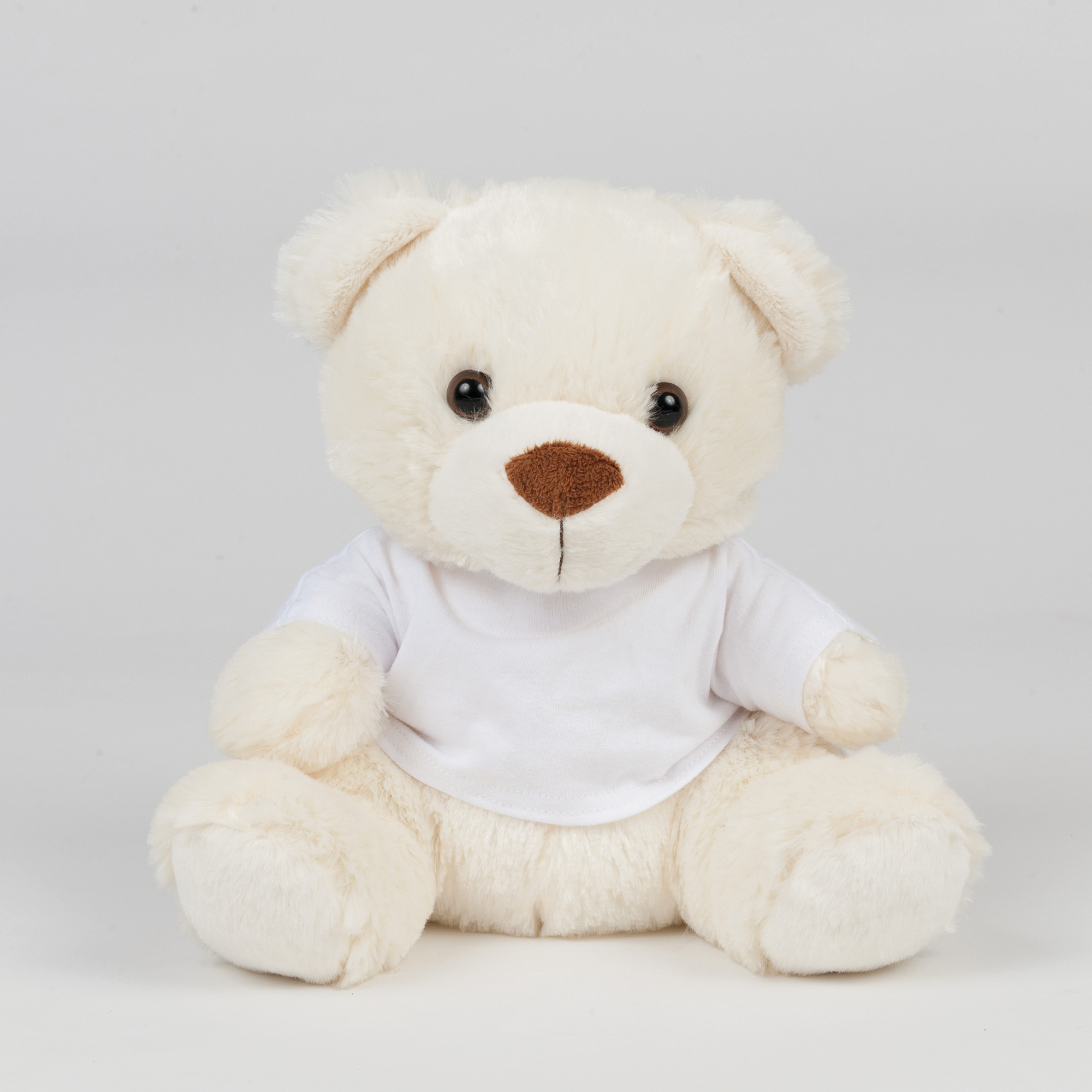Teddybär mit T-Shirt