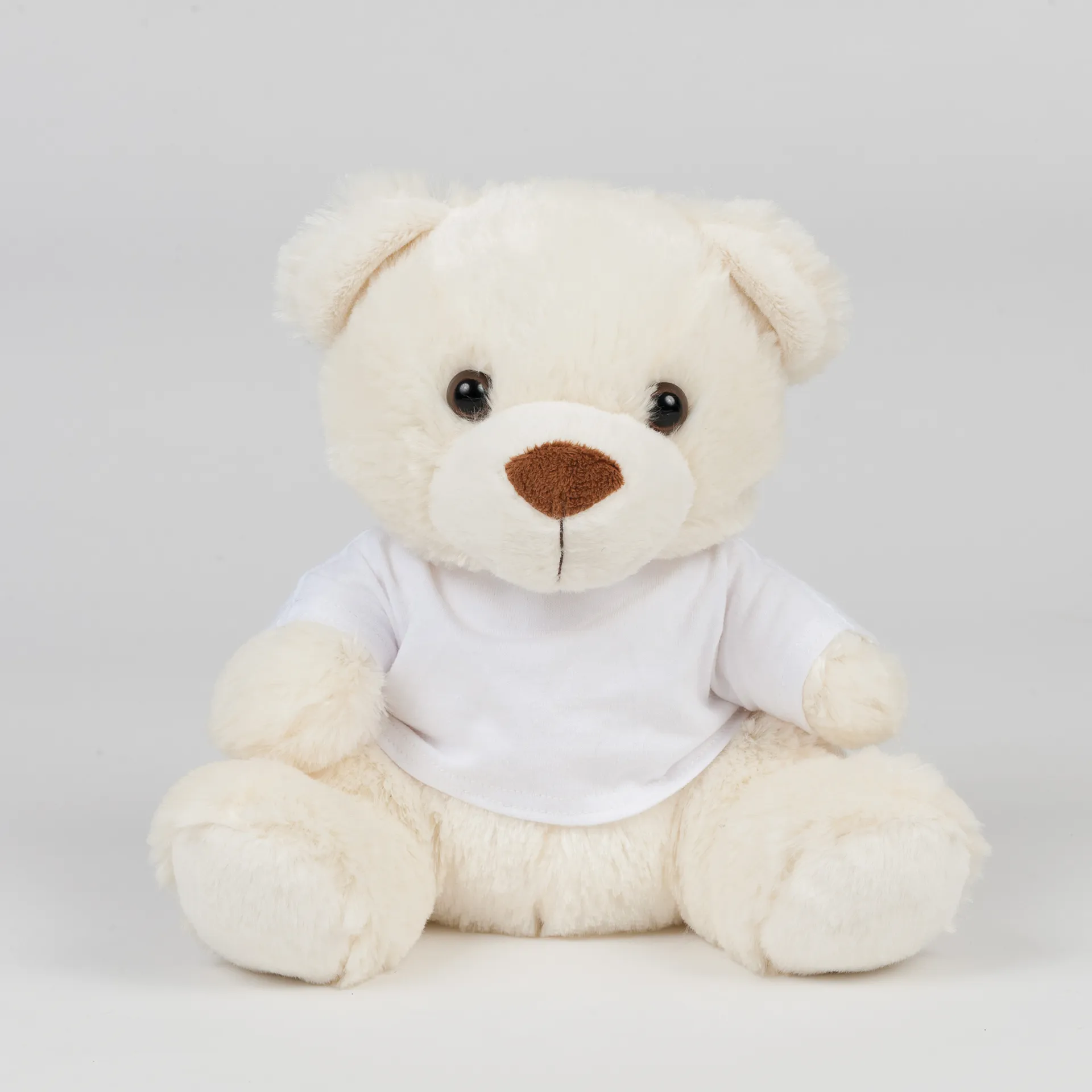 Teddybär mit T-Shirt