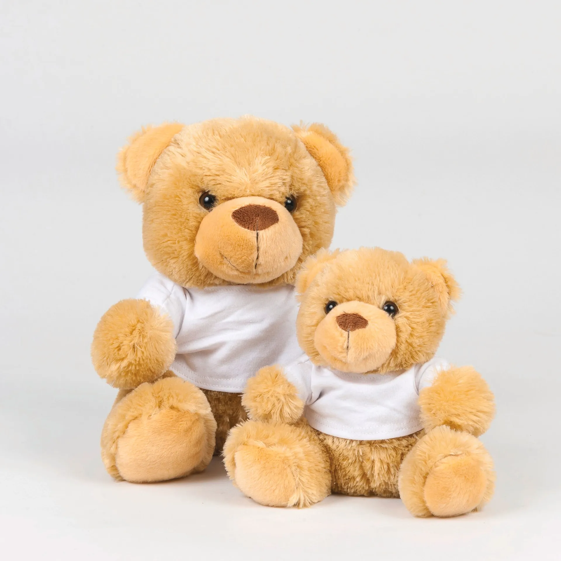 Teddybär mit T-Shirt