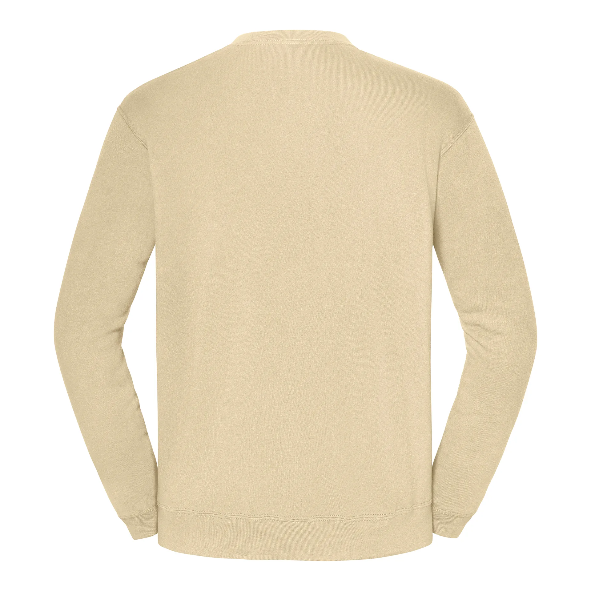 Sweatshirt Iconic 250