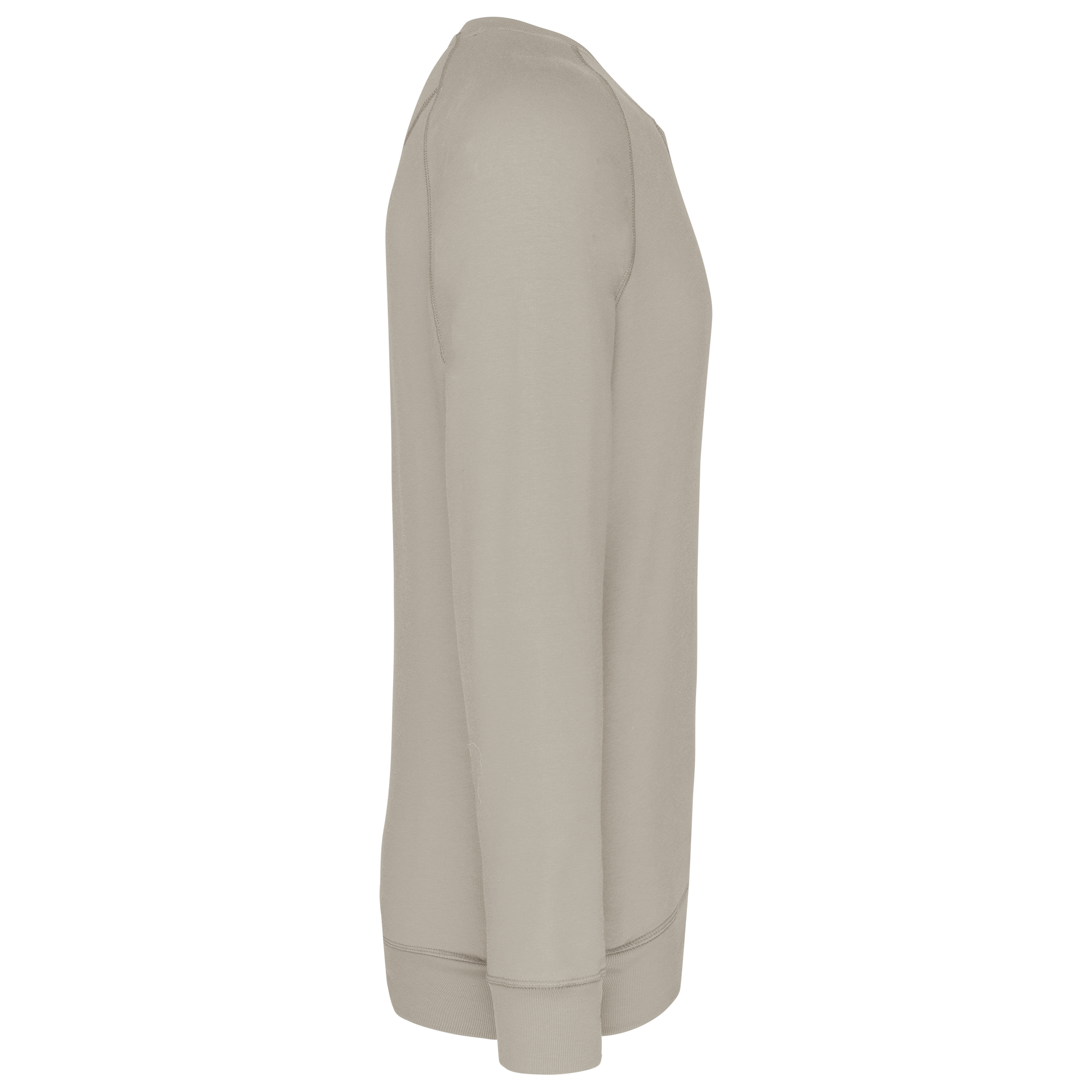 Herren Sweatshirt BIO-BAUMWOLLE Rundhalsausschnitt Raglanärmel