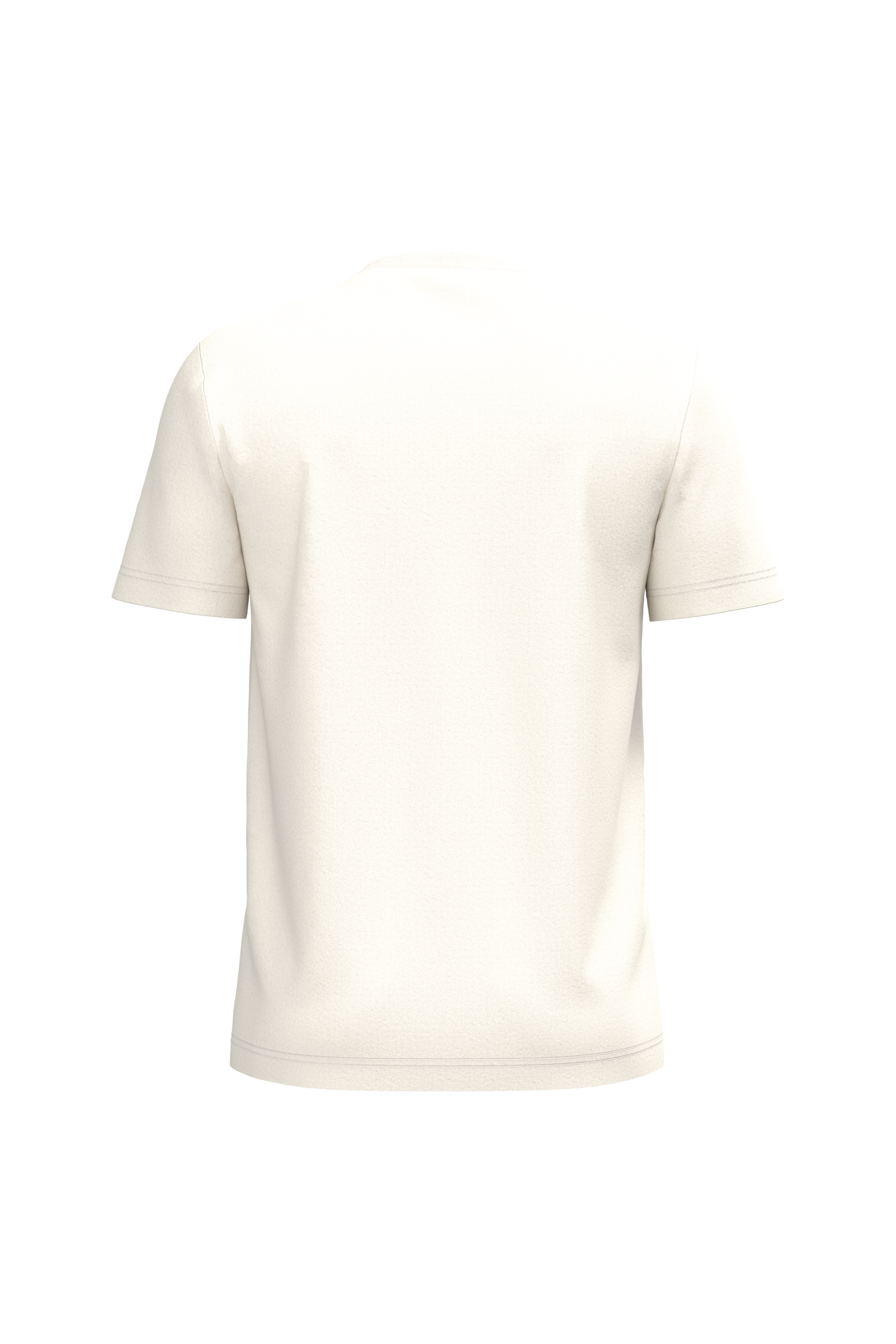 Herren T-Shirt Bio190 IC Herren T-Shirt Bio190 IC