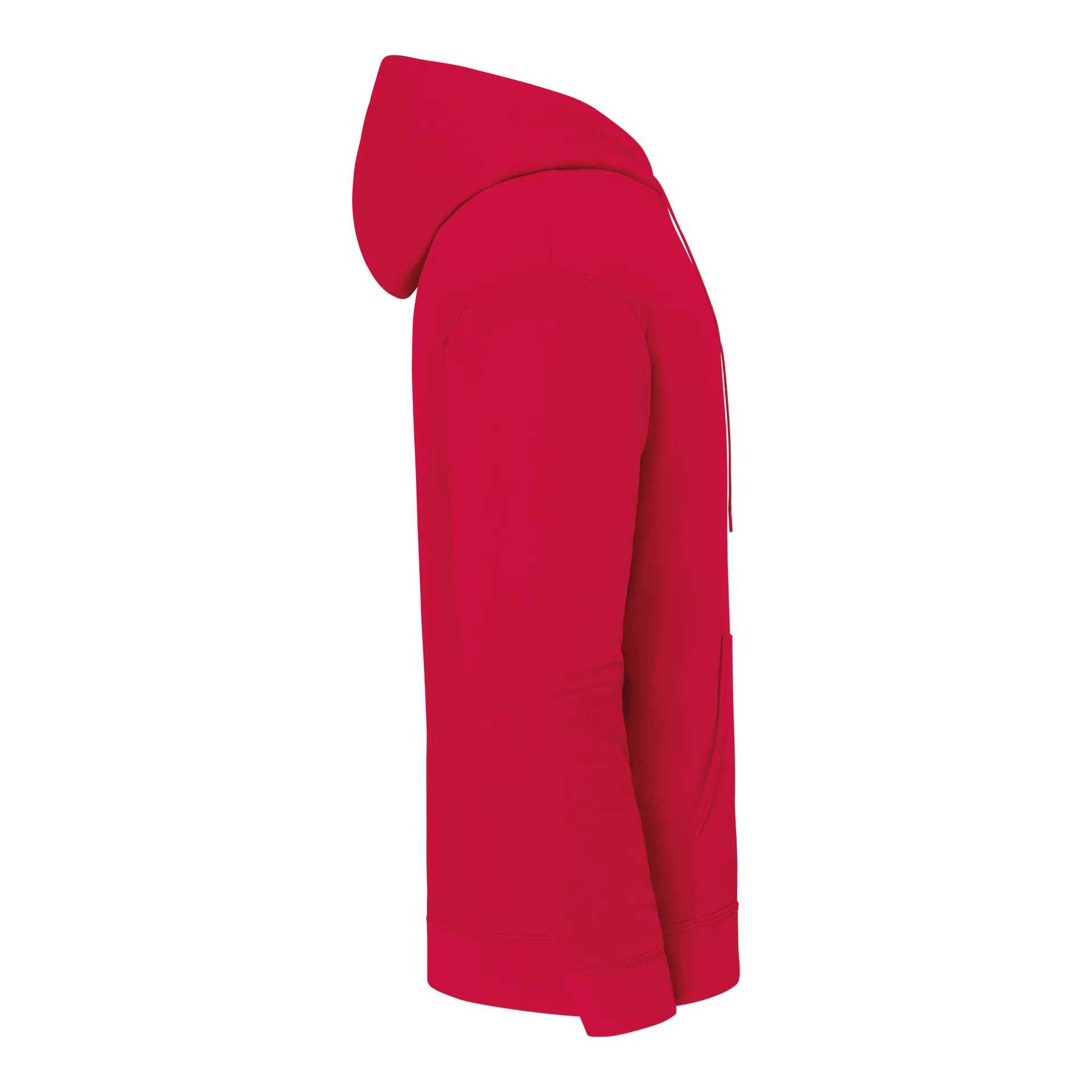 Kapuzen-Sweatshirt Iconic 250