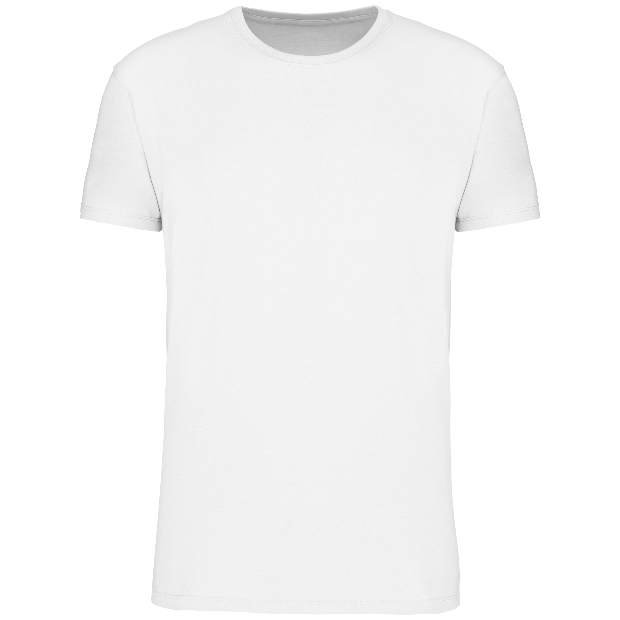 Herren T-Shirt Bio190 IC Herren T-Shirt Bio190 IC