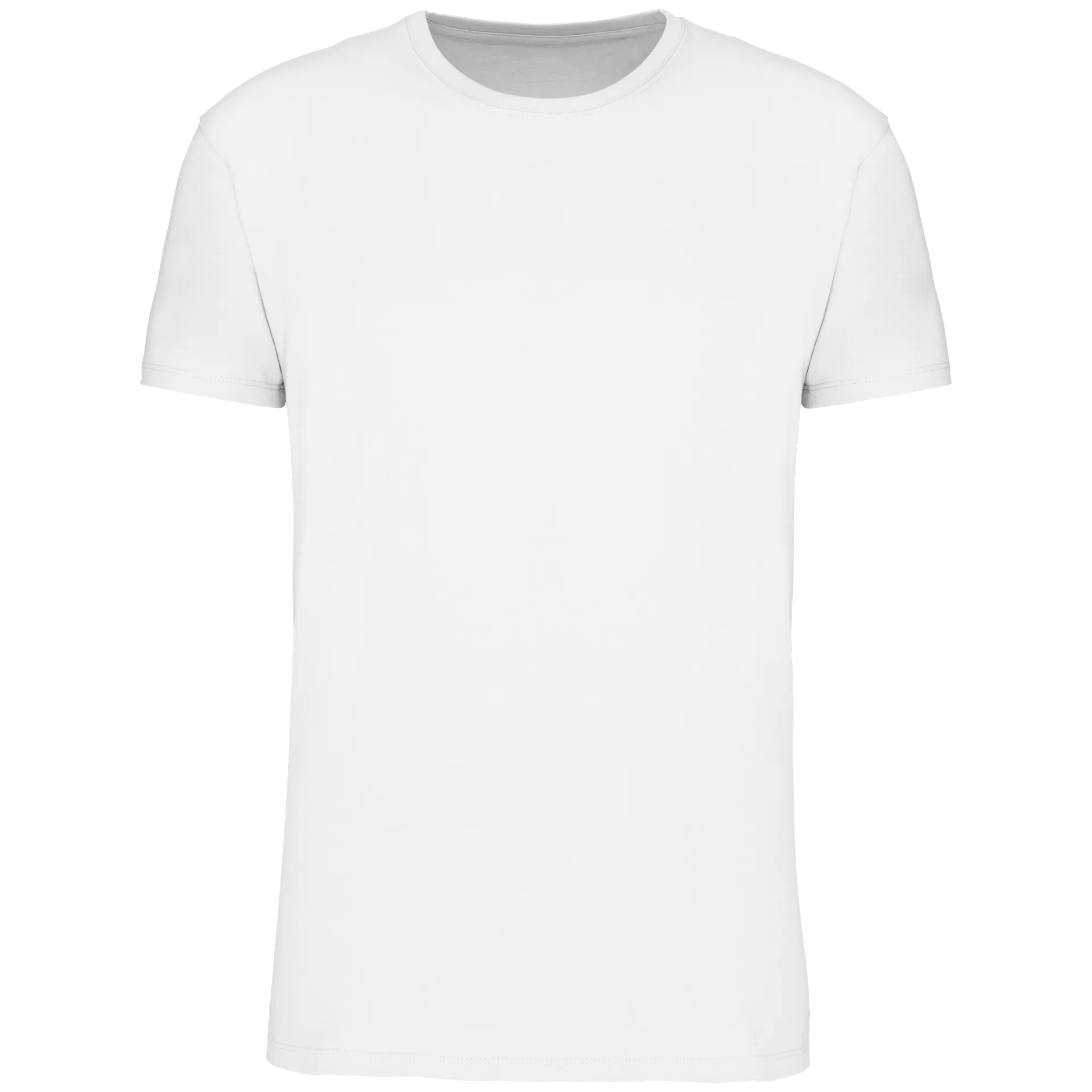 Herren T-Shirt Bio190 IC