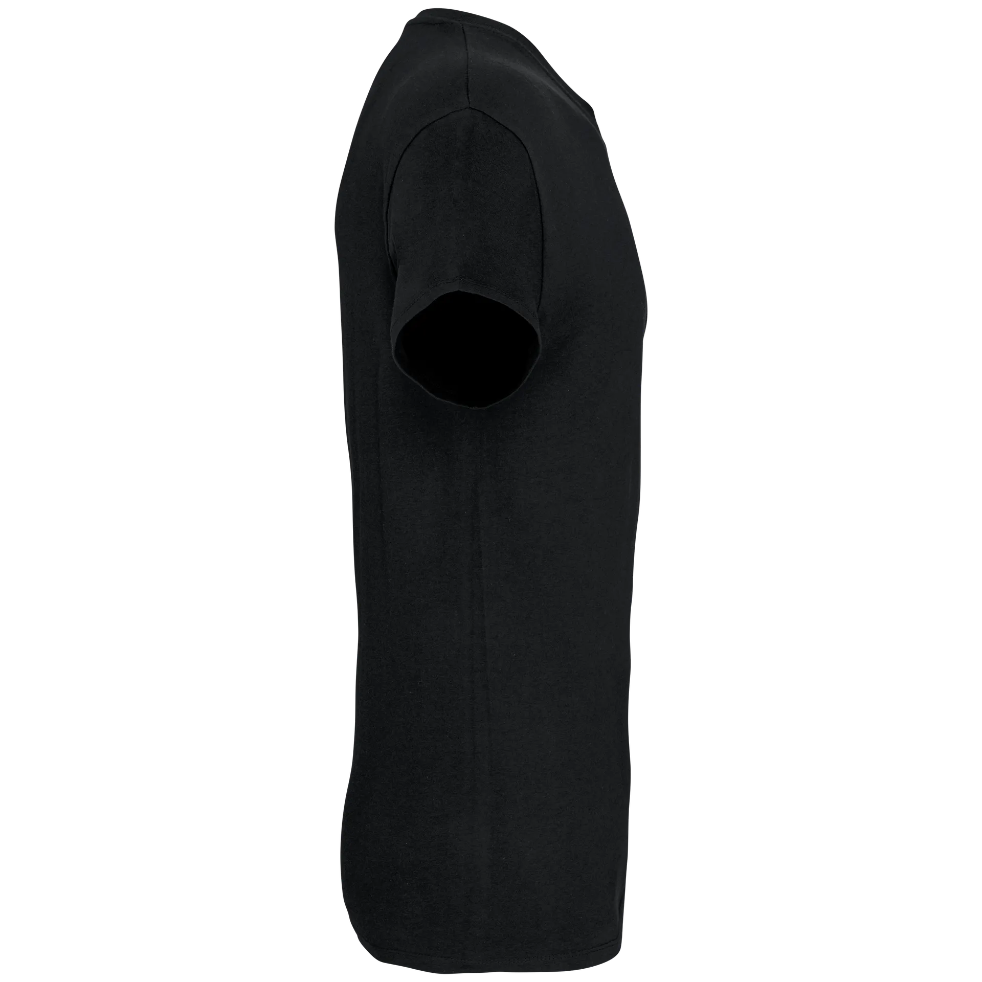 Herren T-Shirt Bio190 IC