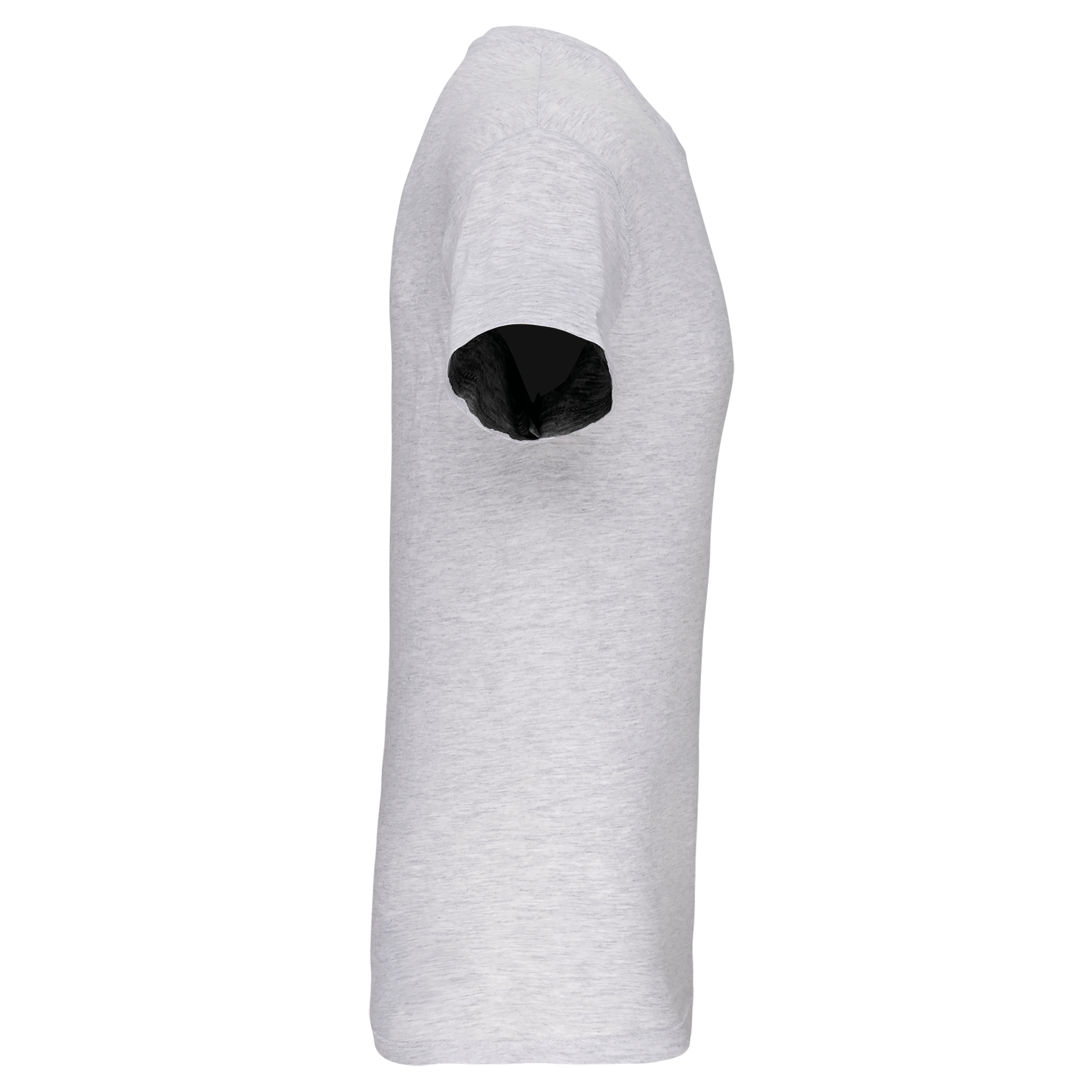 Herren-T-Shirt Bio150 IC