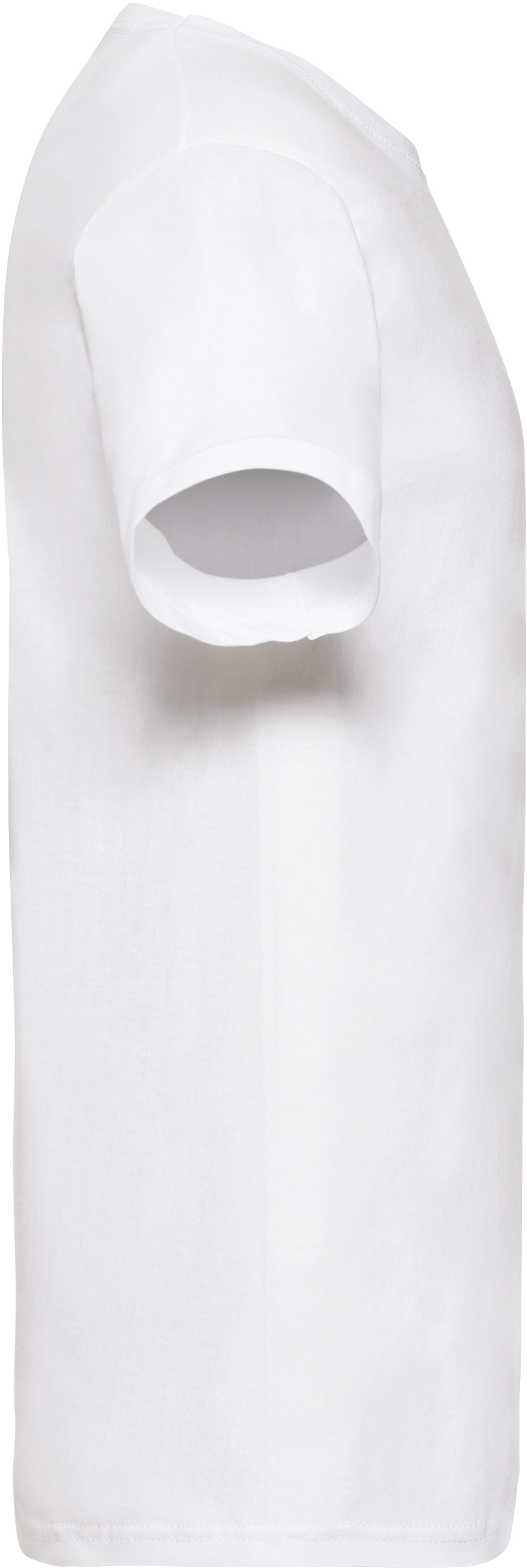 Men's Valueweight V-neck T-shirt (61-066-0)