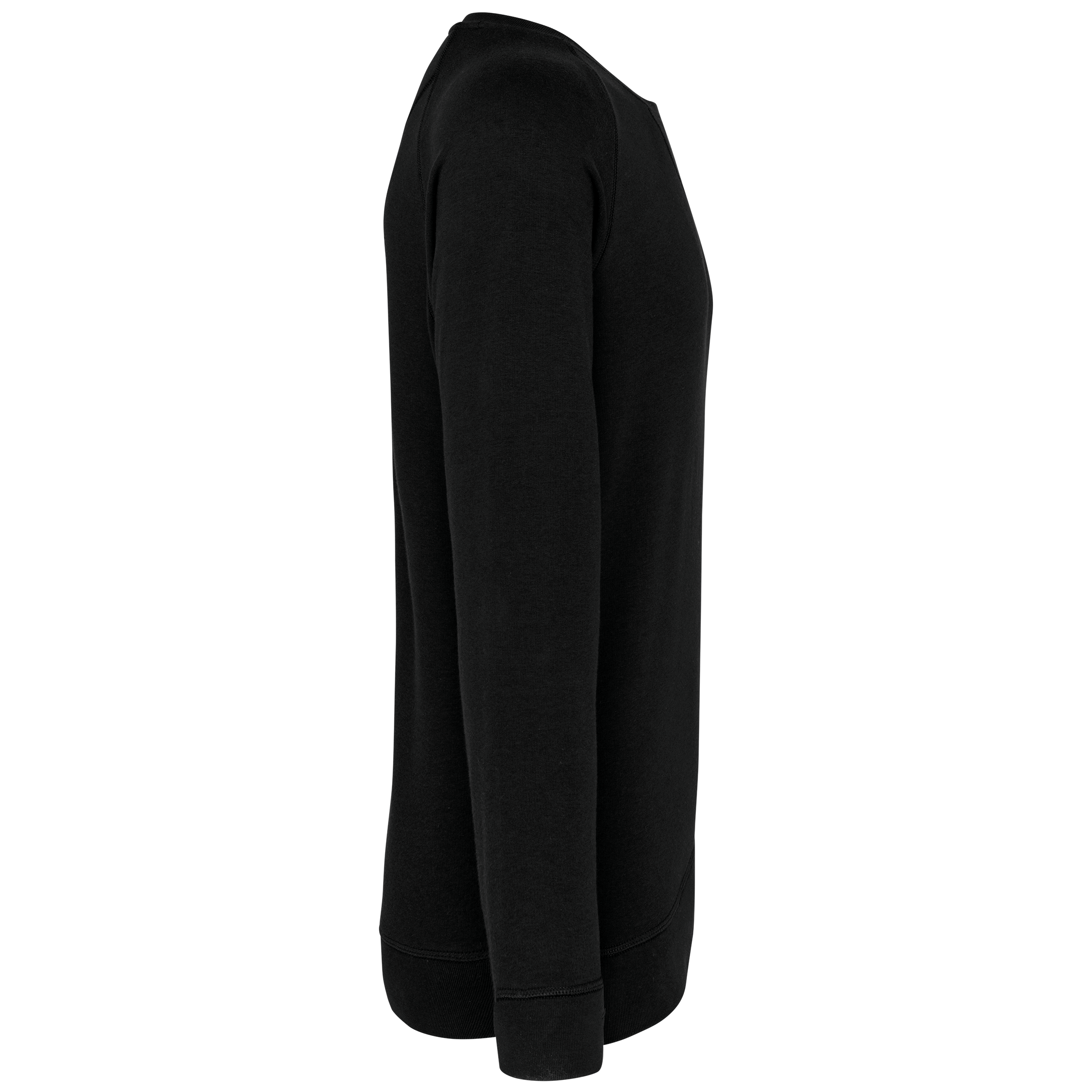 Herren Sweatshirt BIO-BAUMWOLLE Rundhalsausschnitt Raglanärmel