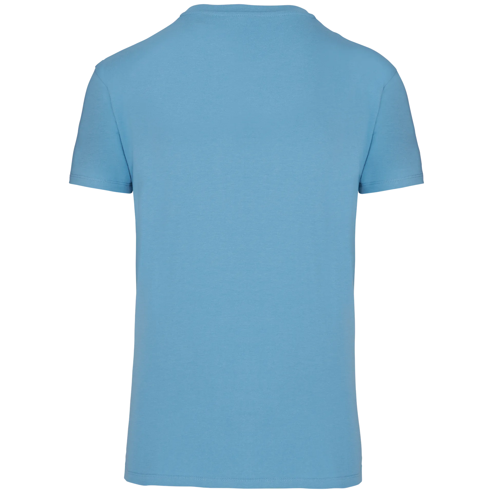 Herren T-Shirt Bio190 IC