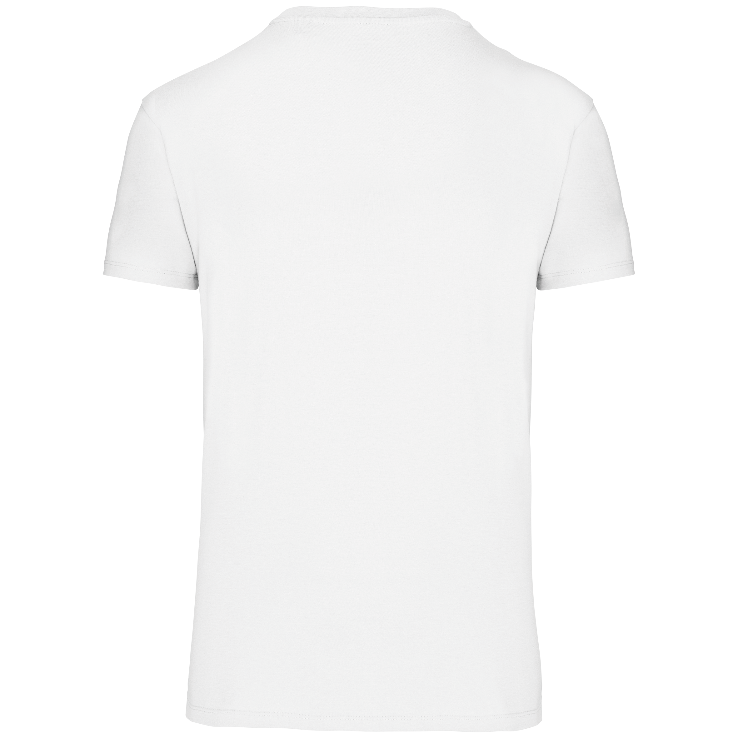 Herren T-Shirt Bio190 IC Herren T-Shirt Bio190 IC