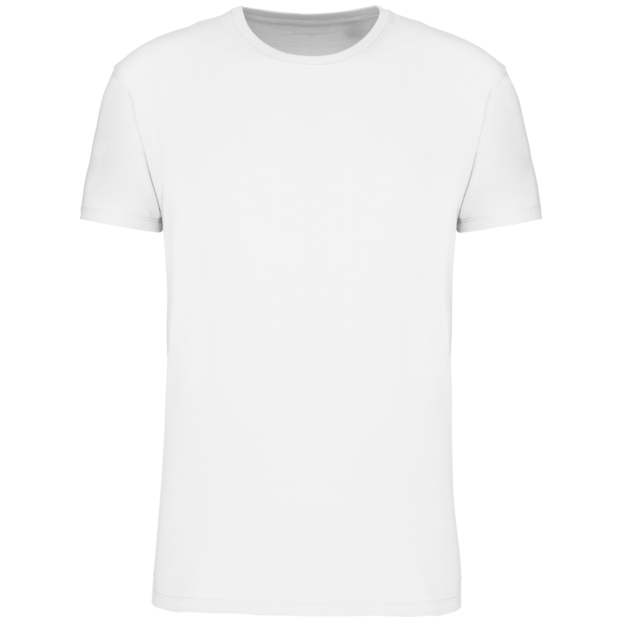 Herren-T-Shirt Bio150 IC