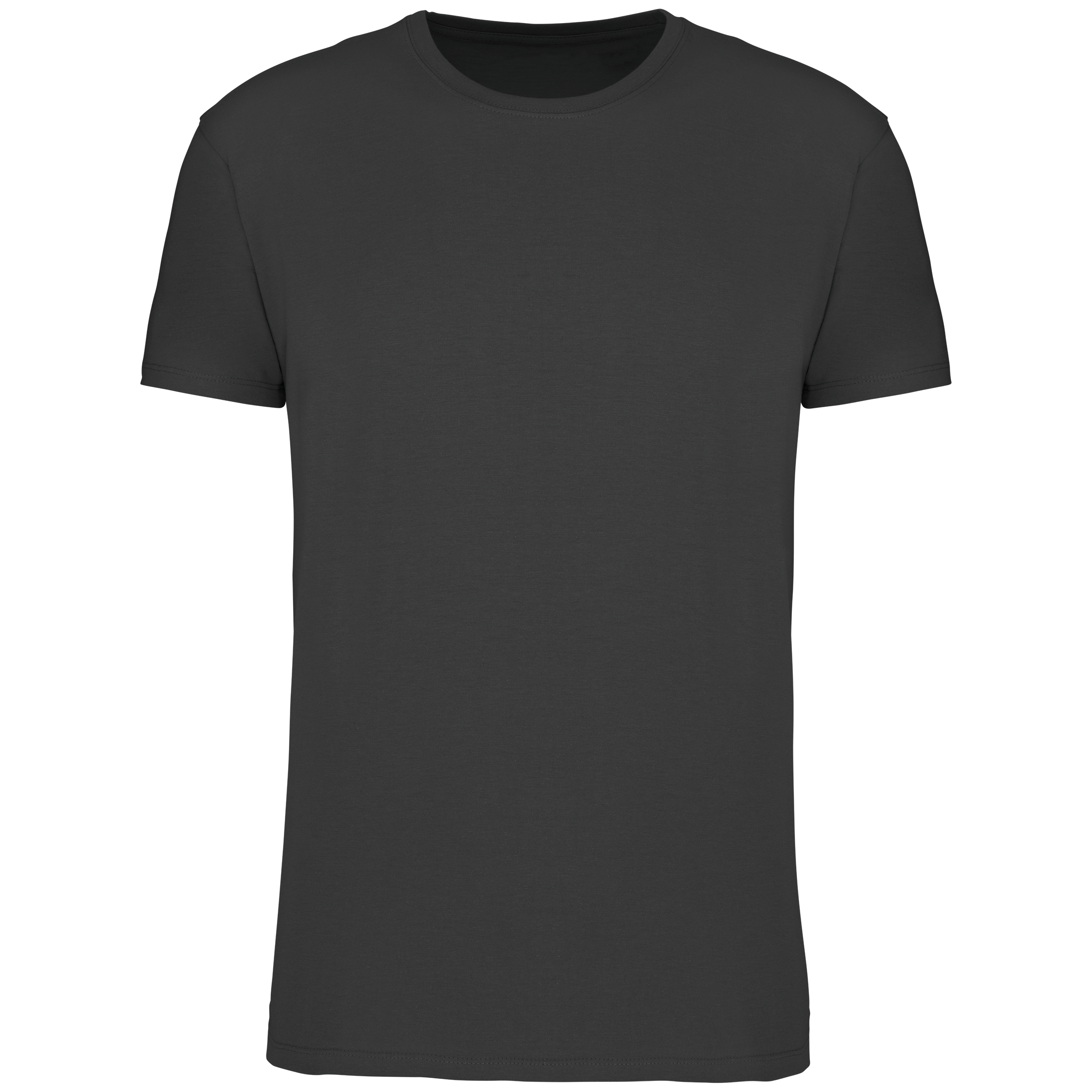 Herren T-Shirt Bio190 IC