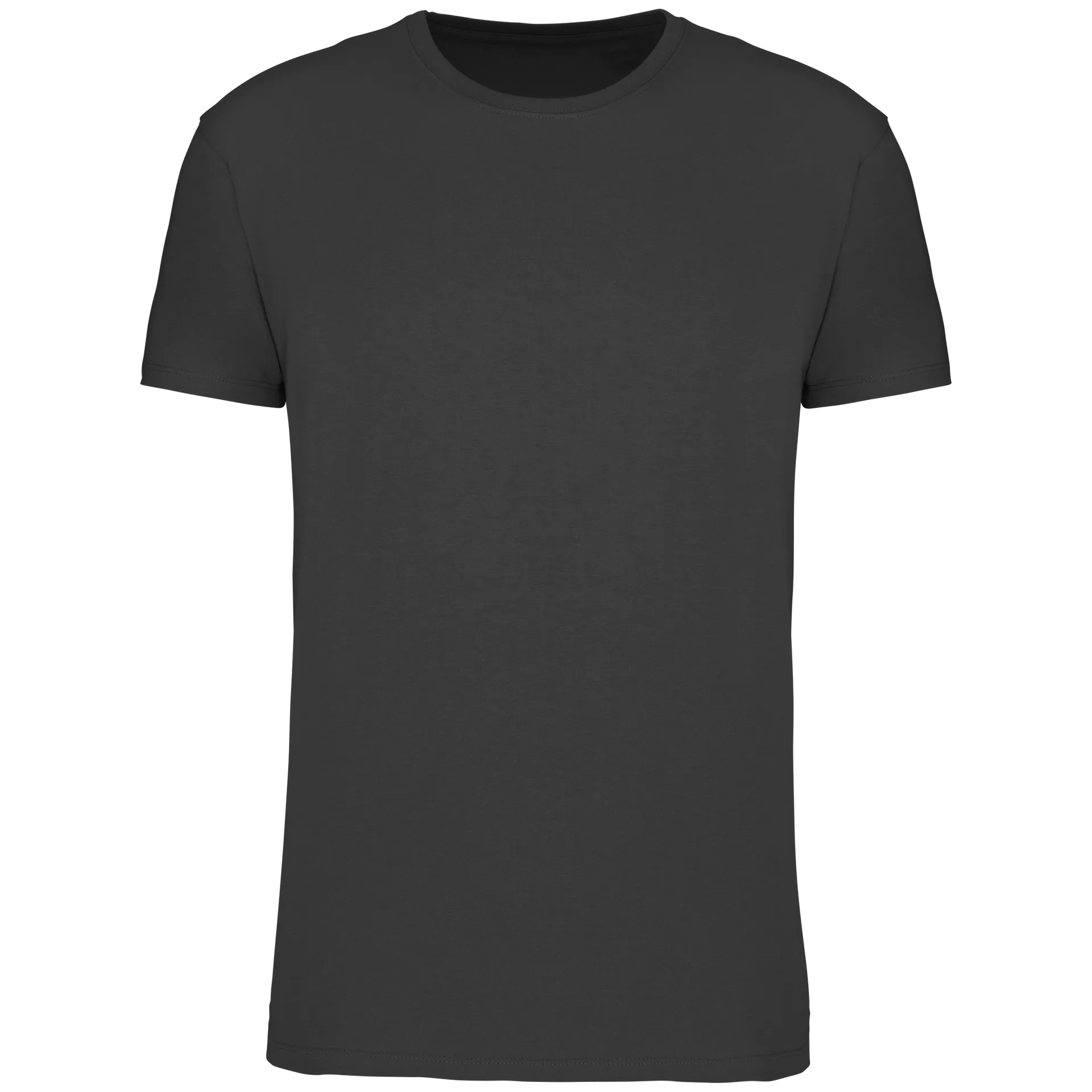 Herren T-Shirt Bio190 IC