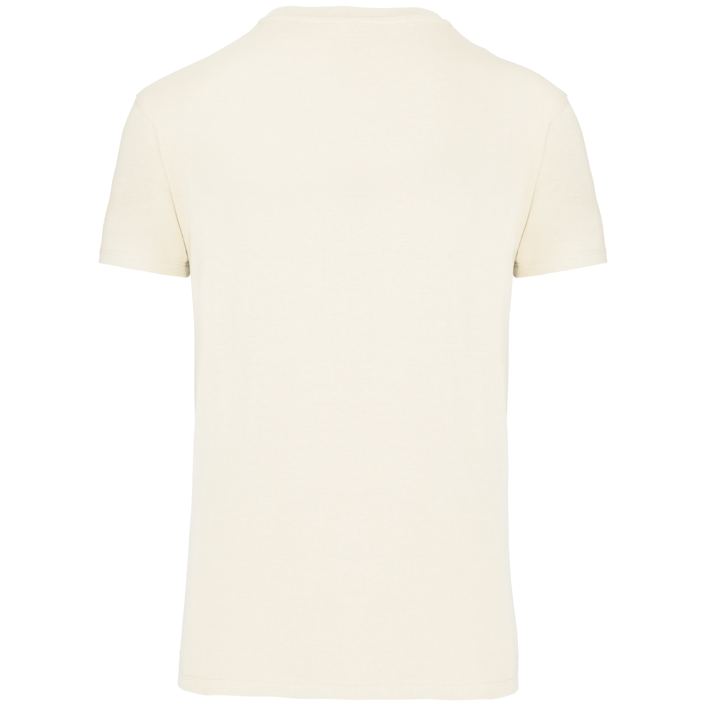 Herren T-Shirt Bio190 IC Herren T-Shirt Bio190 IC
