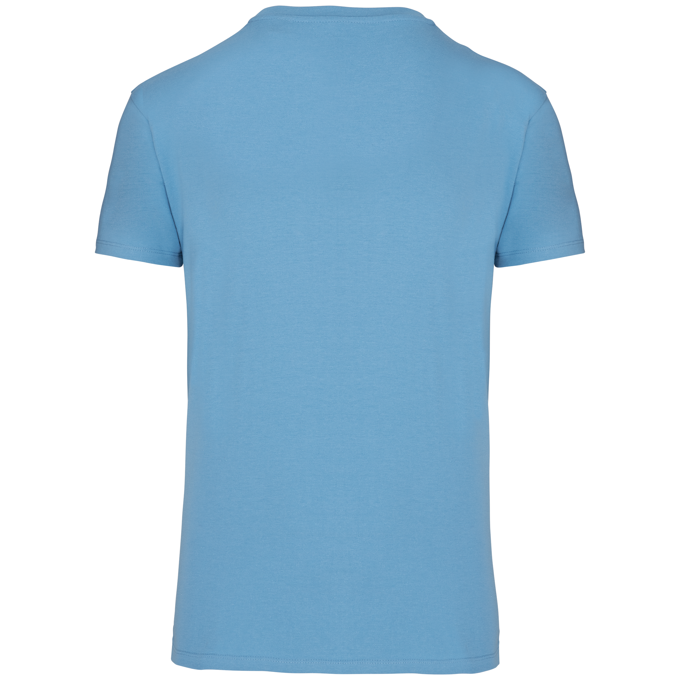 Herren-T-Shirt Bio150 IC