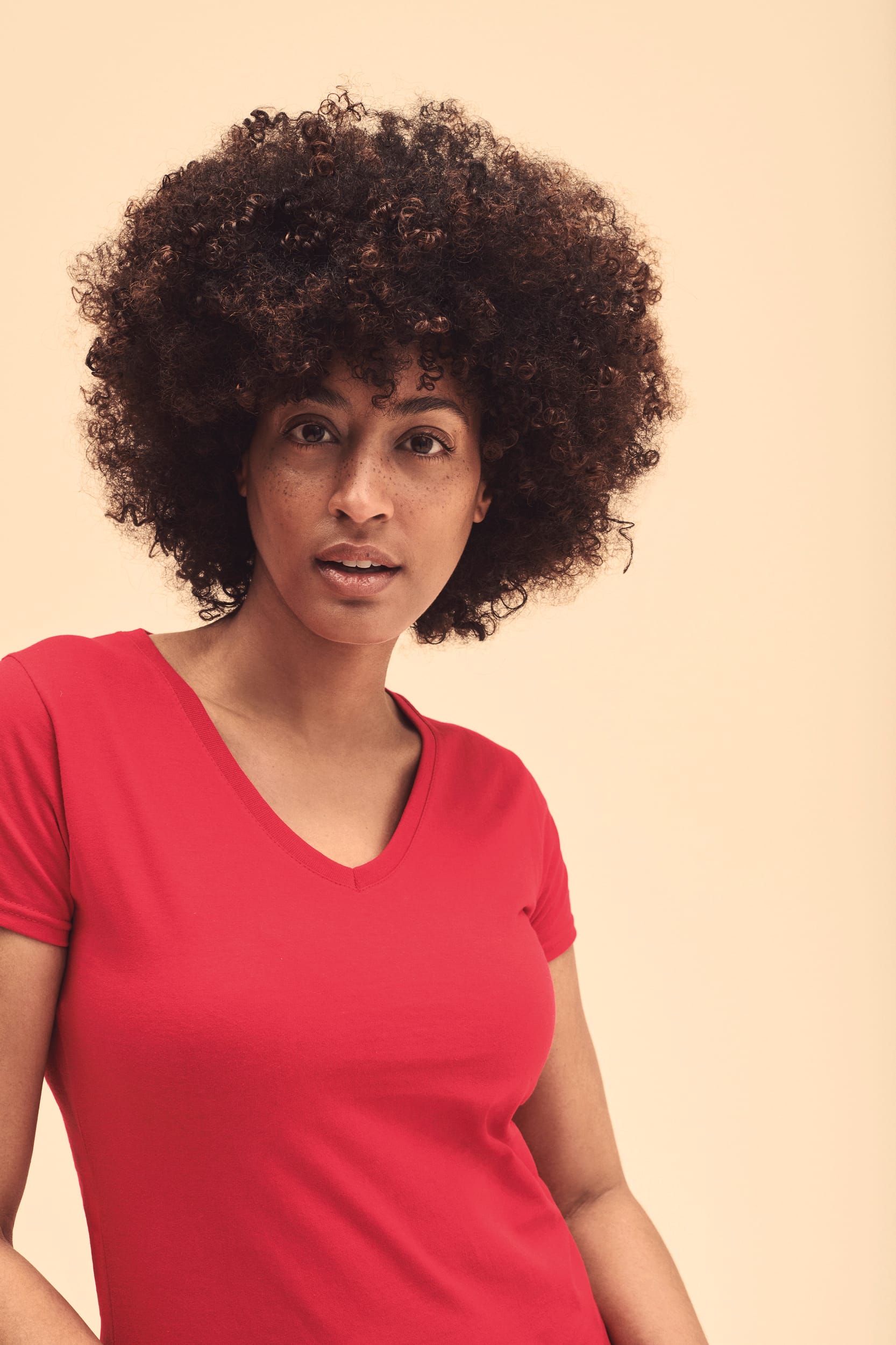 Lady-fit Valueweight V-Neck T (61-398-0)