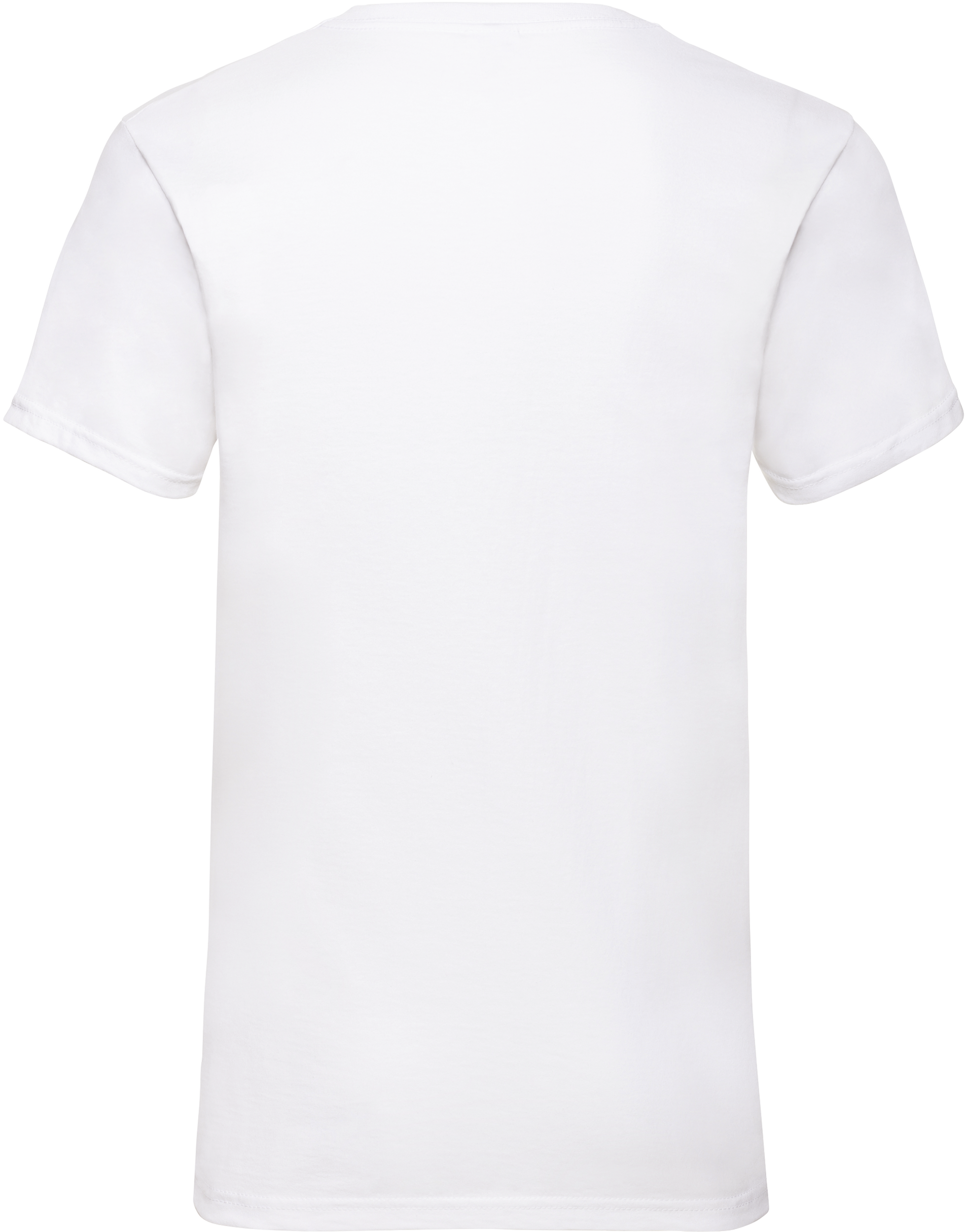 Men's Valueweight V-neck T-shirt (61-066-0)