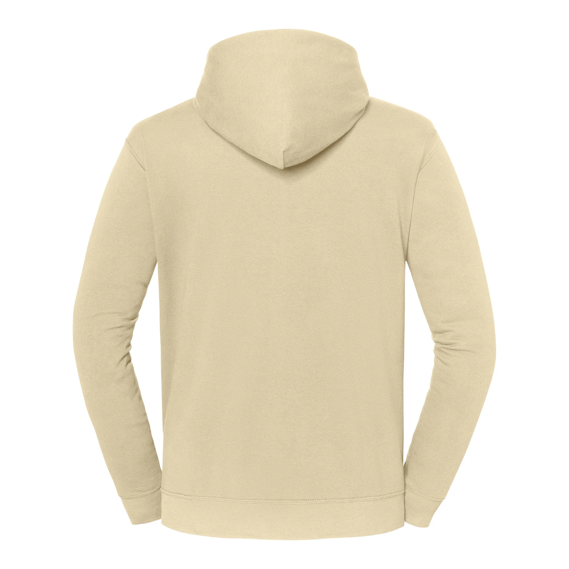Kapuzen-Sweatshirt Iconic 250