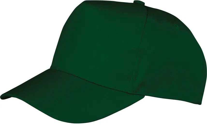 Boston junior cap