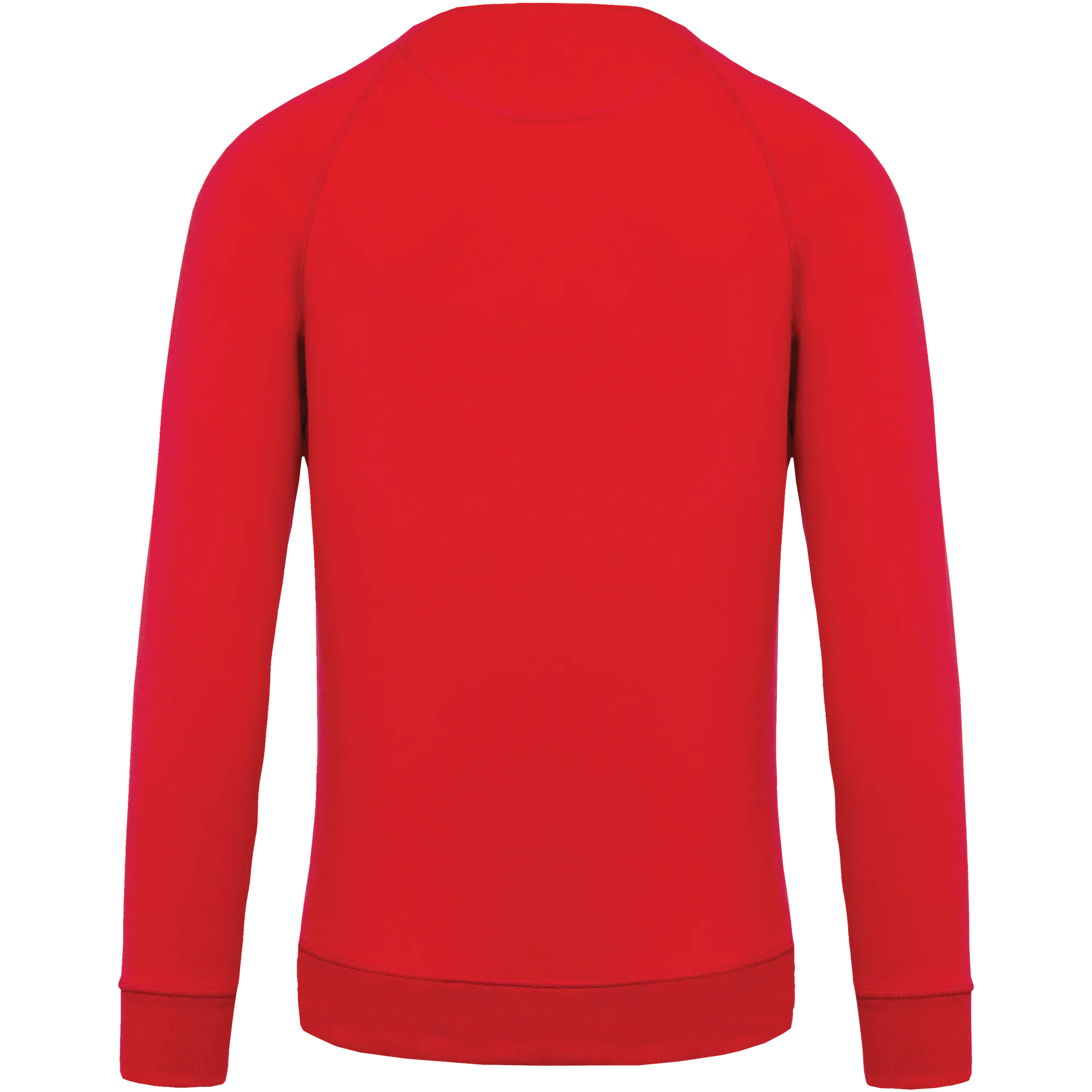 Herren Sweatshirt BIO-BAUMWOLLE Rundhalsausschnitt Raglanärmel