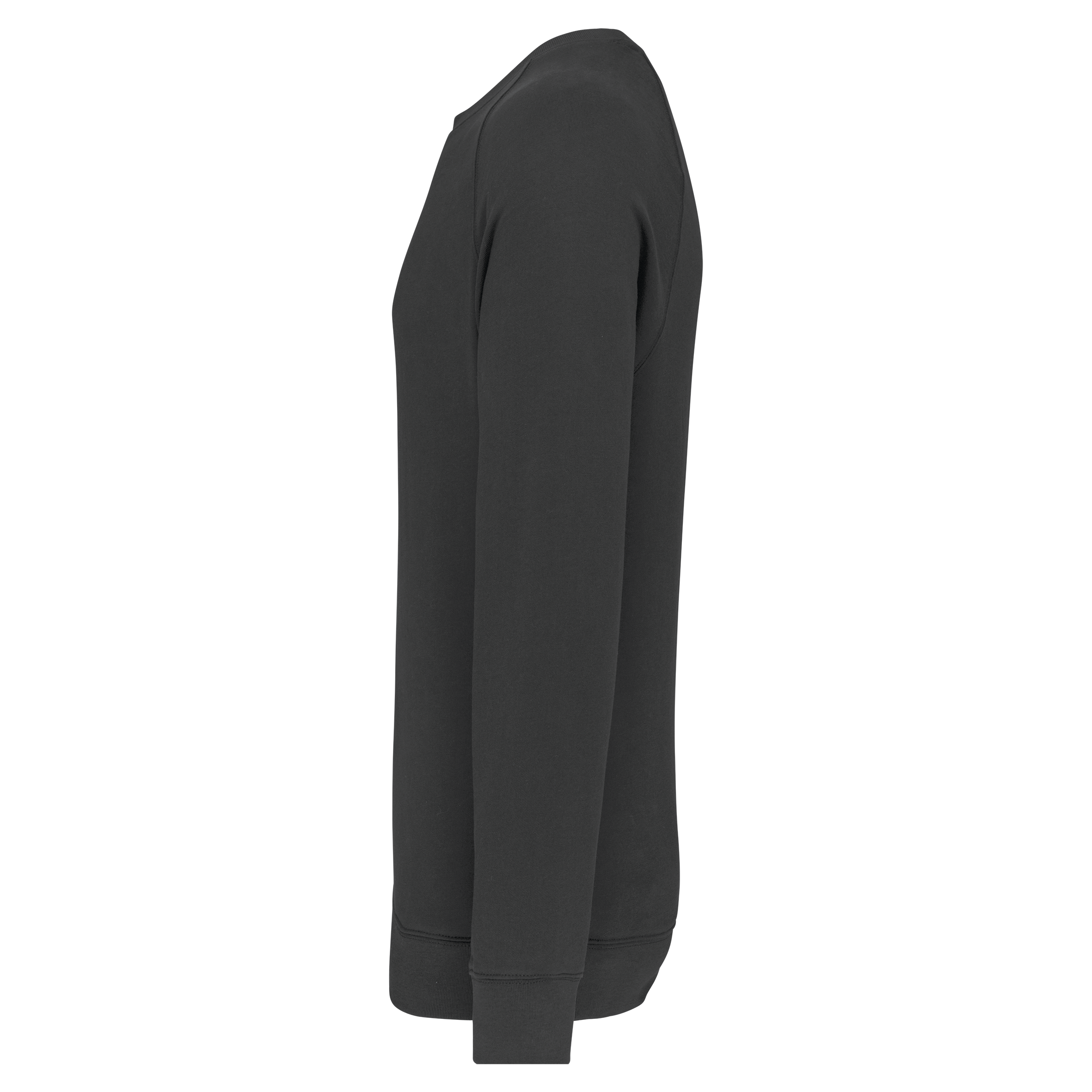 Sweatshirt mit Rundhalsausschnitt