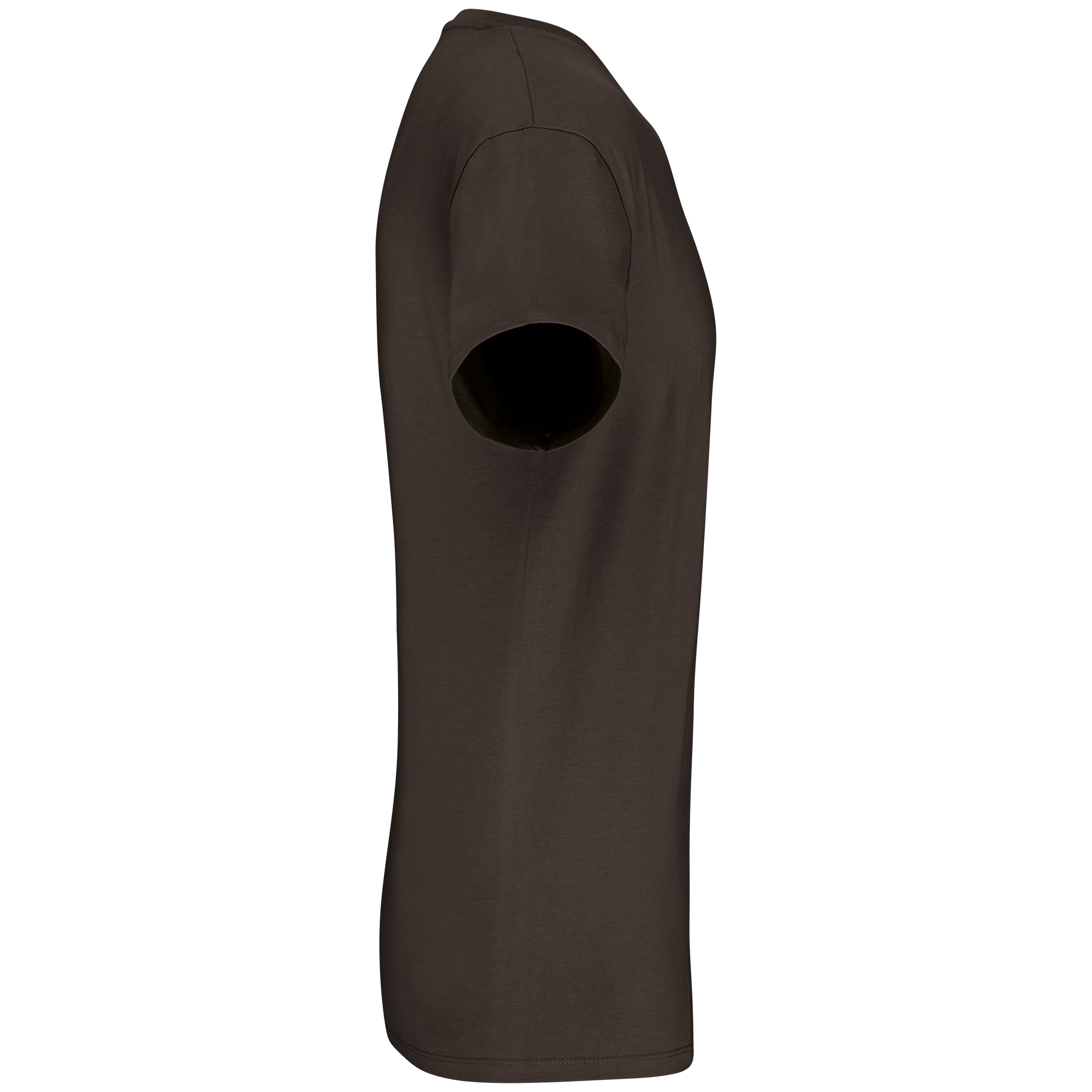 Herren-T-Shirt Bio150 IC