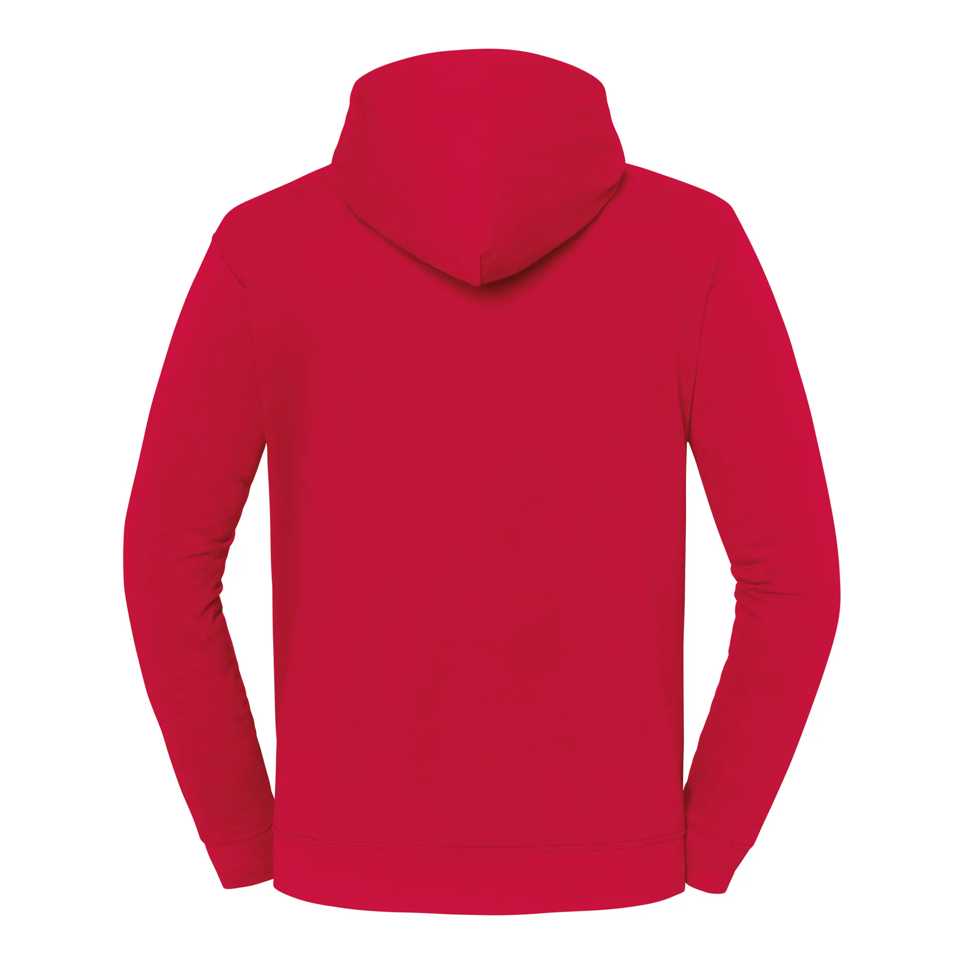 Kapuzen-Sweatshirt Iconic 250