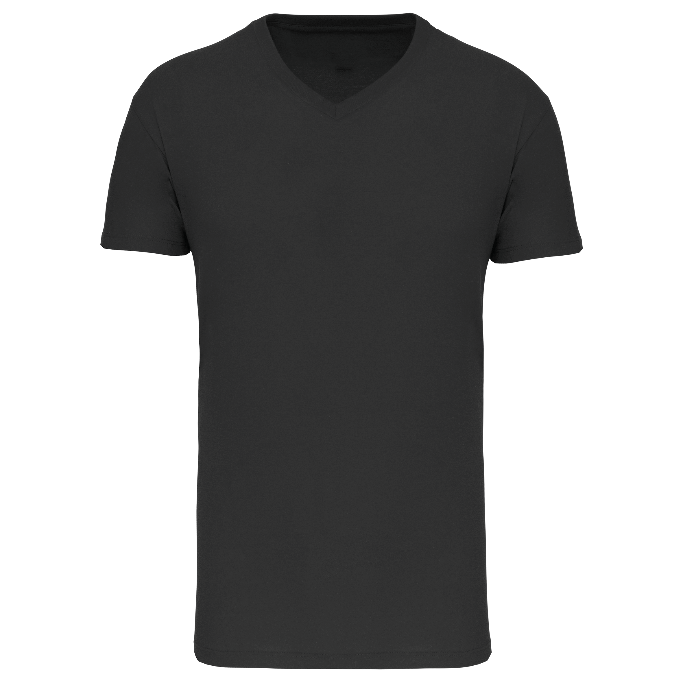 Herren-T-Shirt Bio150 IC mit V-Ausschnitt