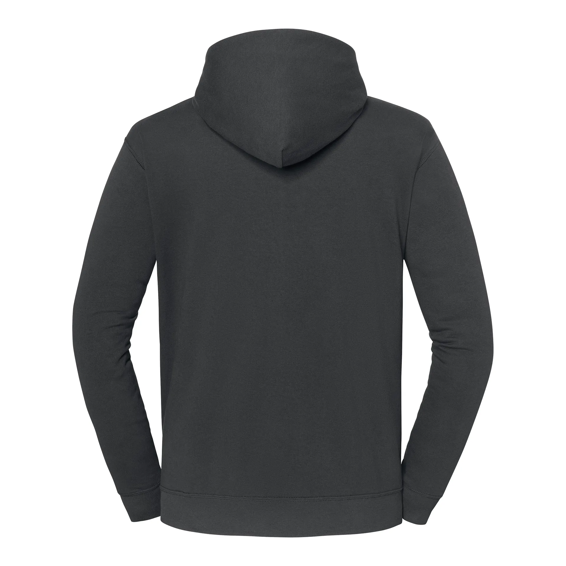 Kapuzen-Sweatshirt Iconic 250