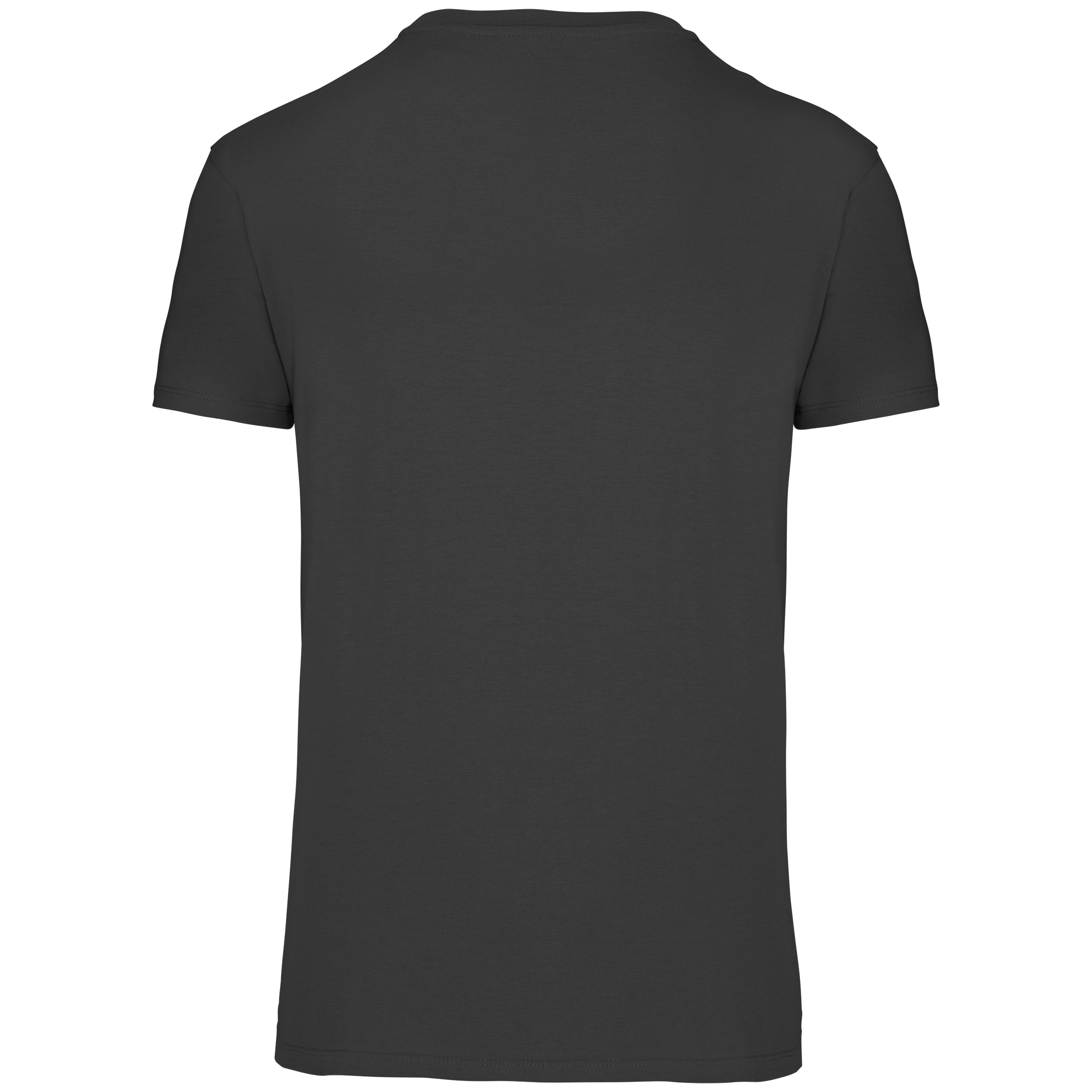 Herren T-Shirt Bio190 IC