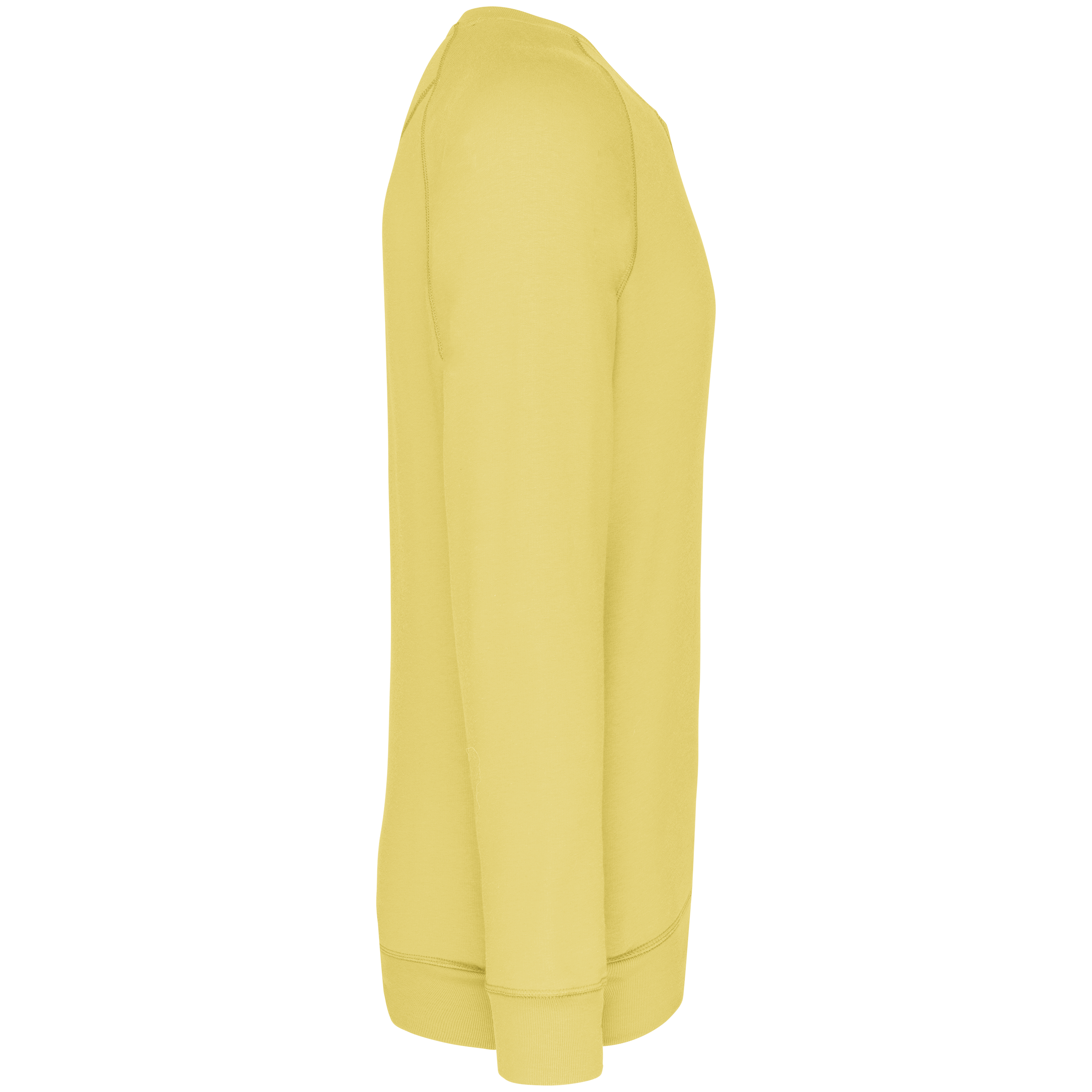 Herren Sweatshirt BIO-BAUMWOLLE Rundhalsausschnitt Raglanärmel