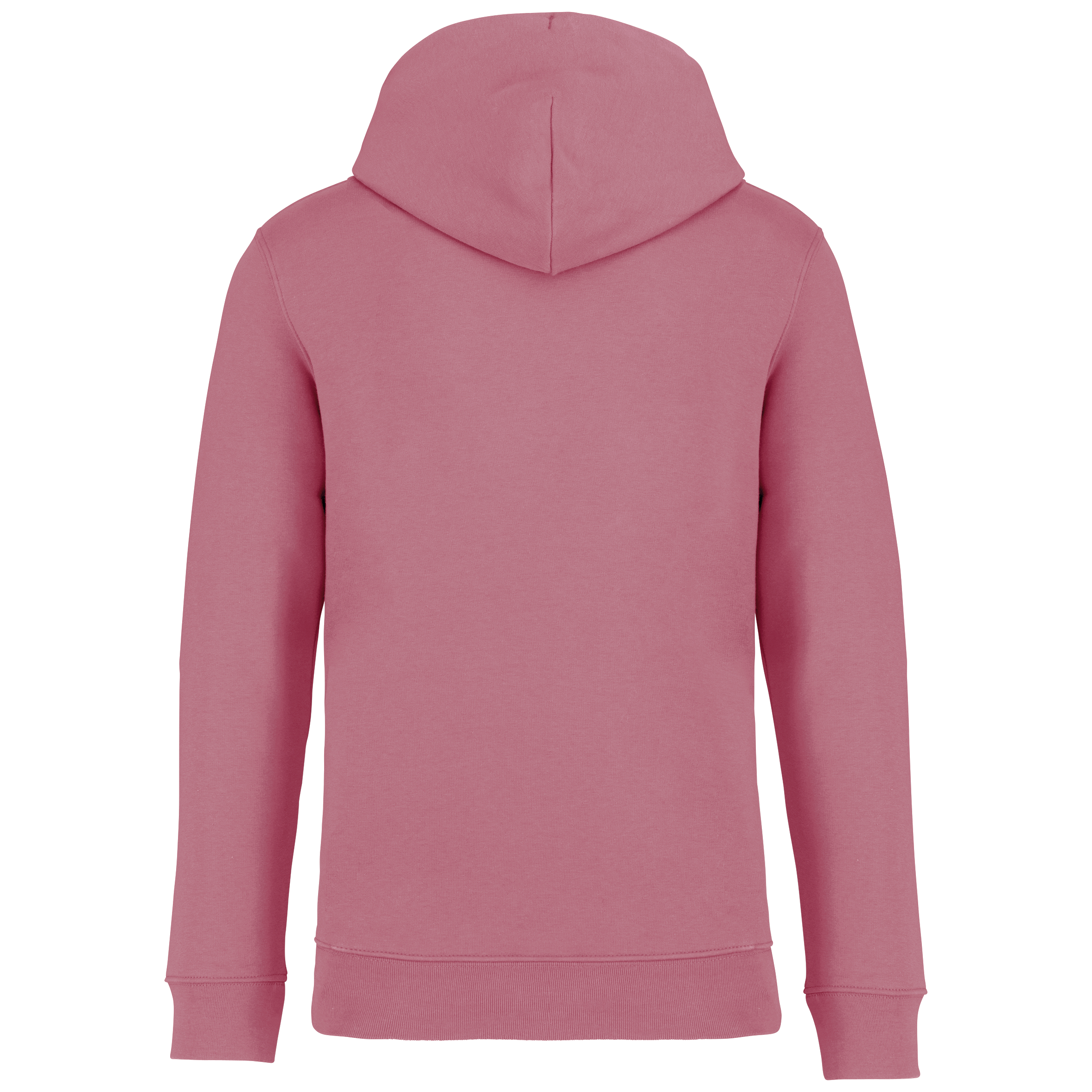 Umweltfreundliches Unisex Kapuzensweatshirt