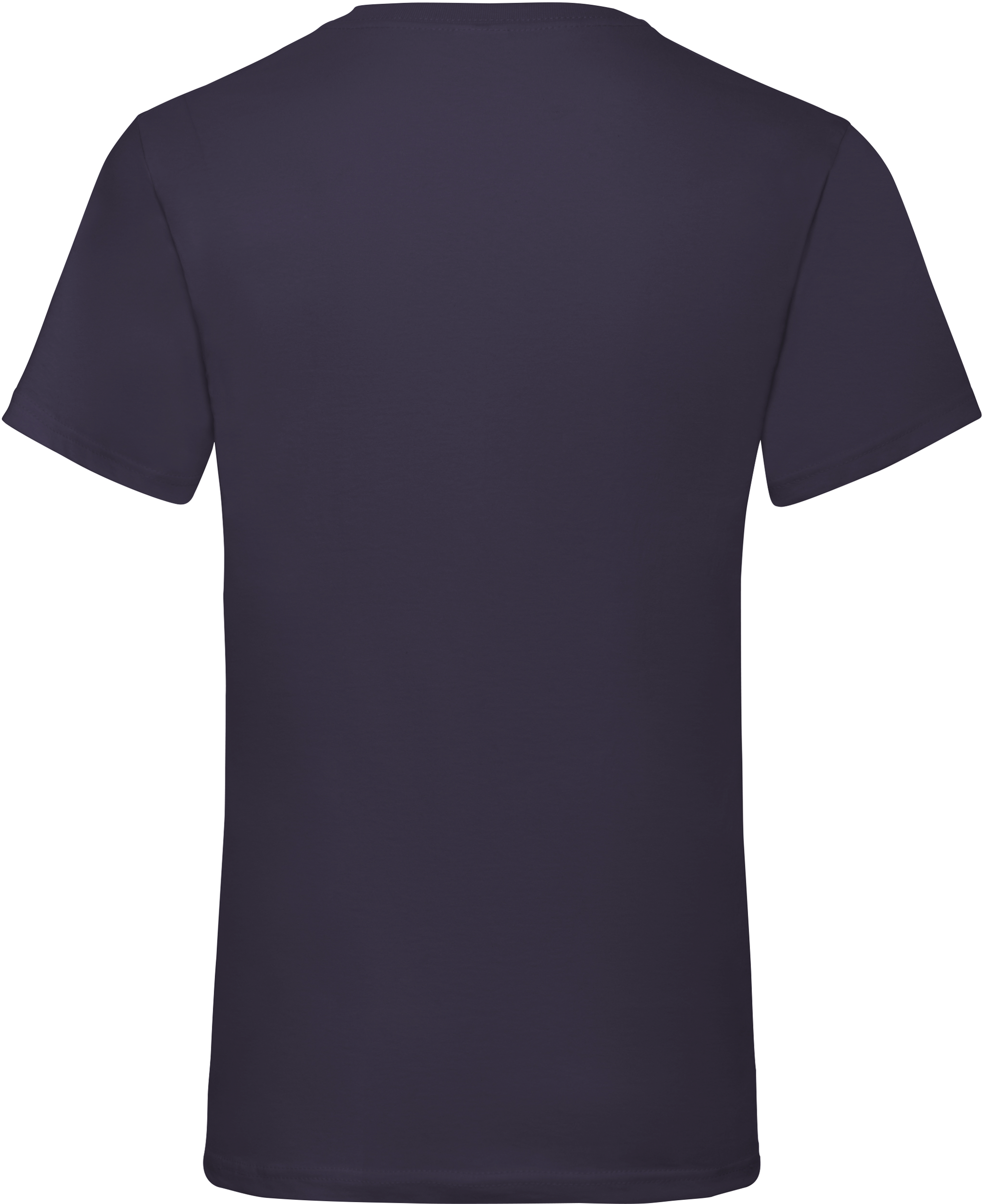 Men's Valueweight V-neck T-shirt (61-066-0)
