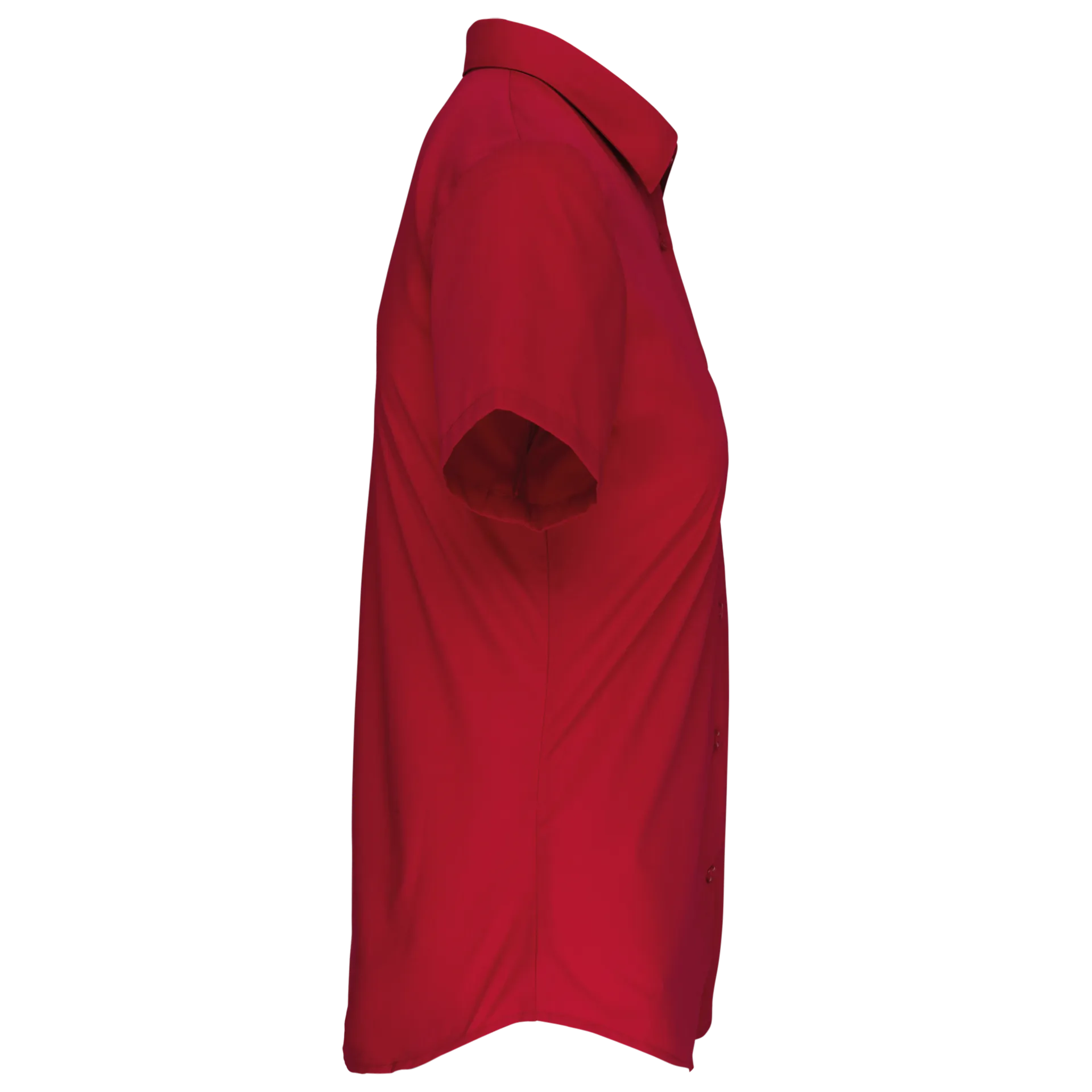 Damen Popelinebluse Kurzarm