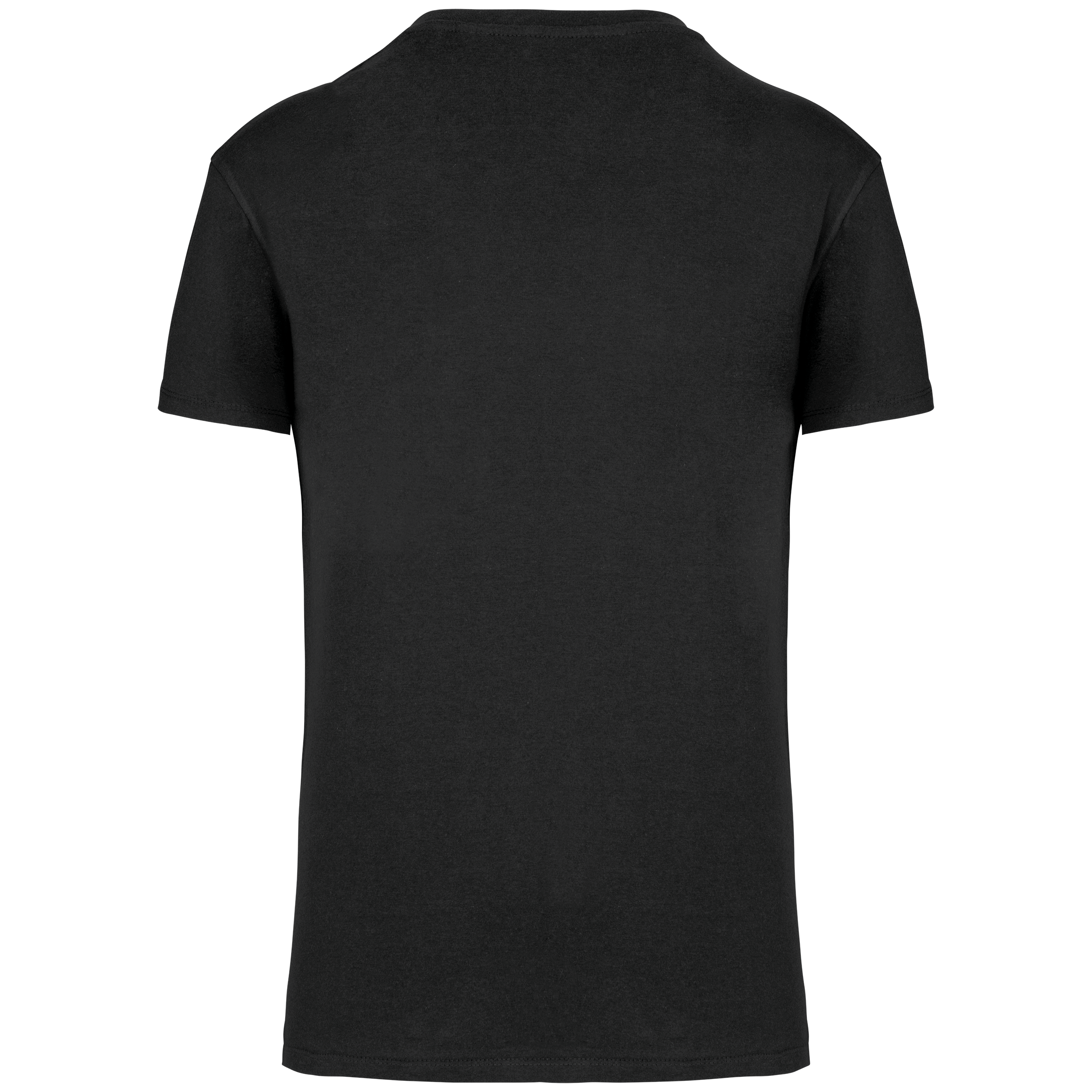 Herren-T-Shirt Bio150 IC