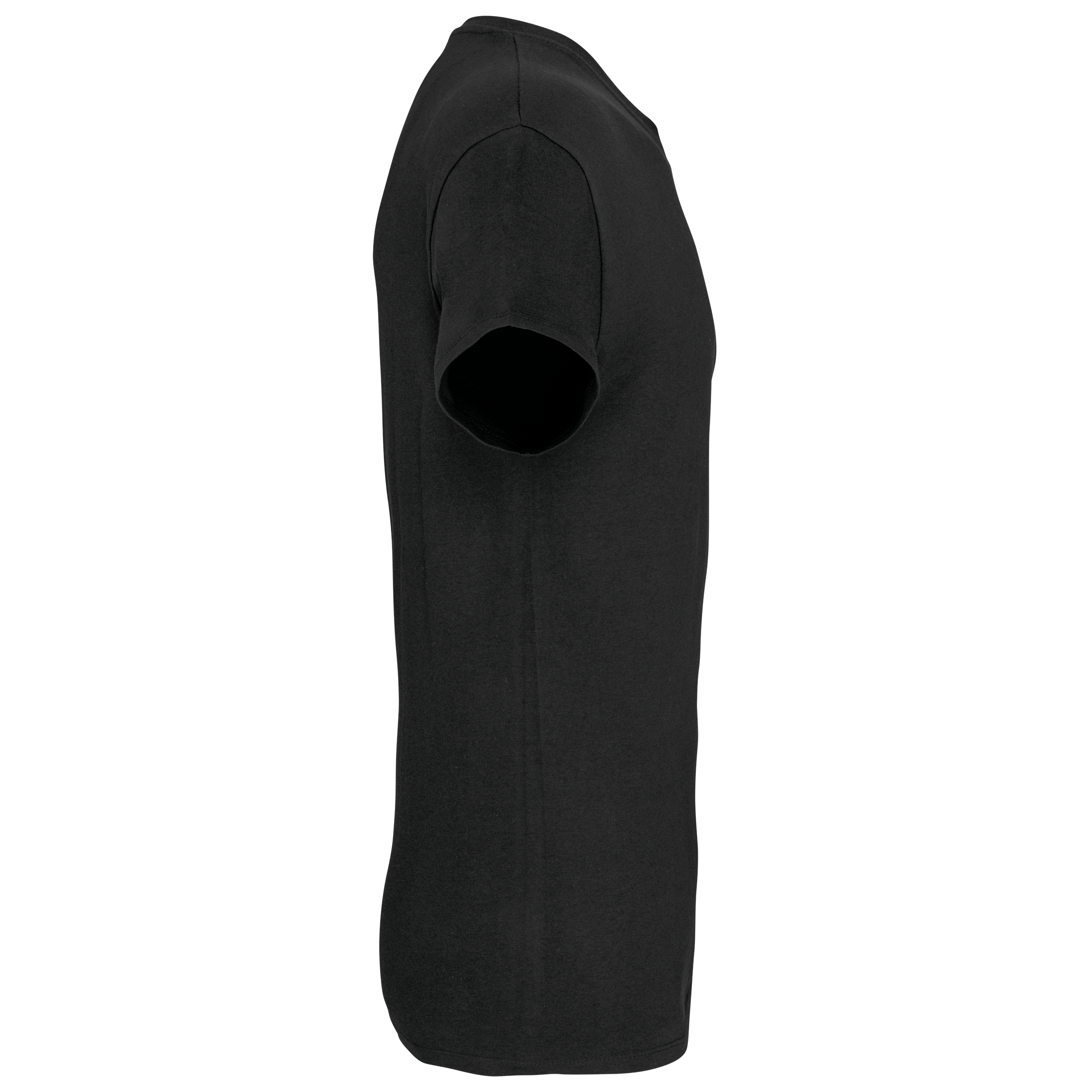 Herren-T-Shirt Bio150 IC mit V-Ausschnitt