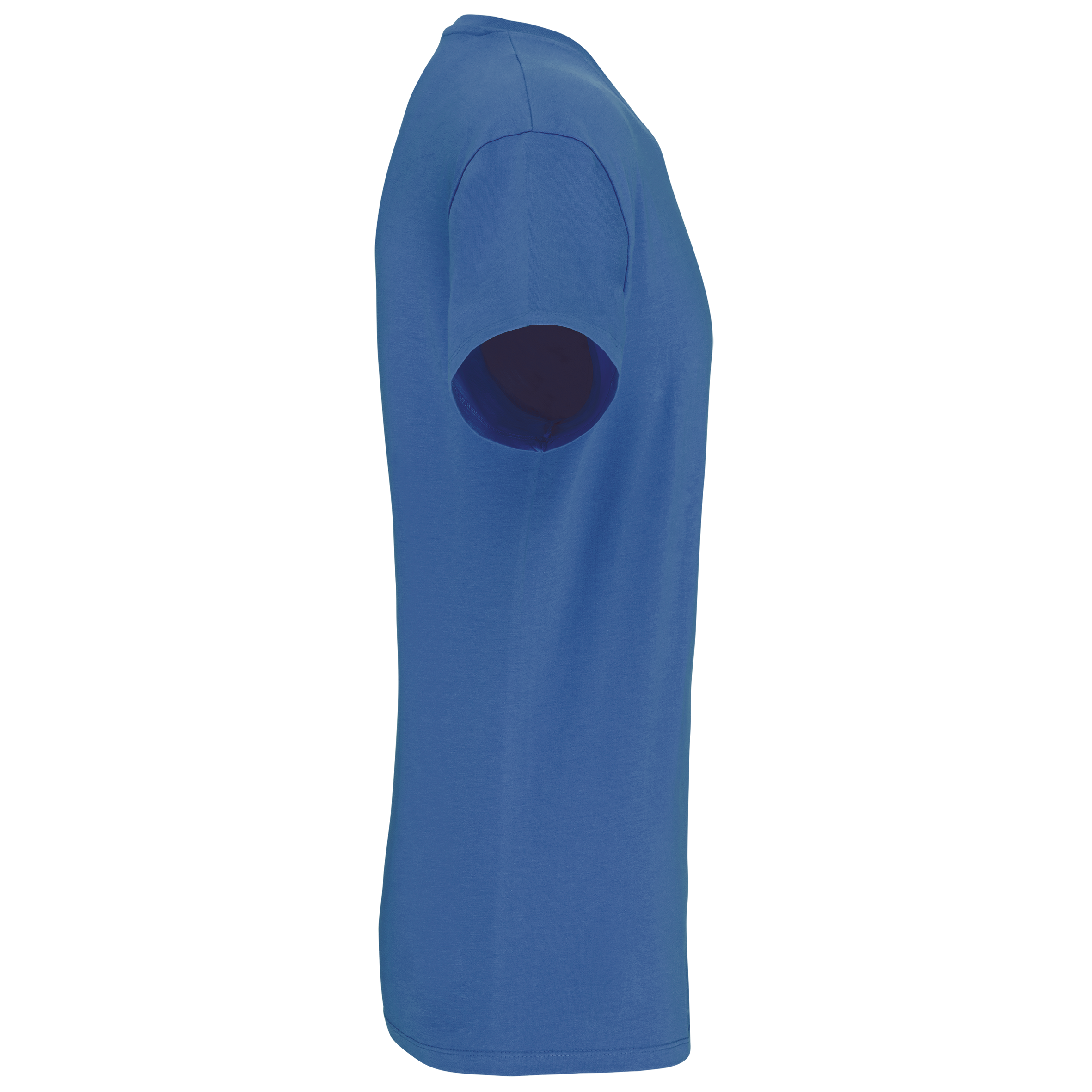 Herren-T-Shirt Bio150 IC mit V-Ausschnitt