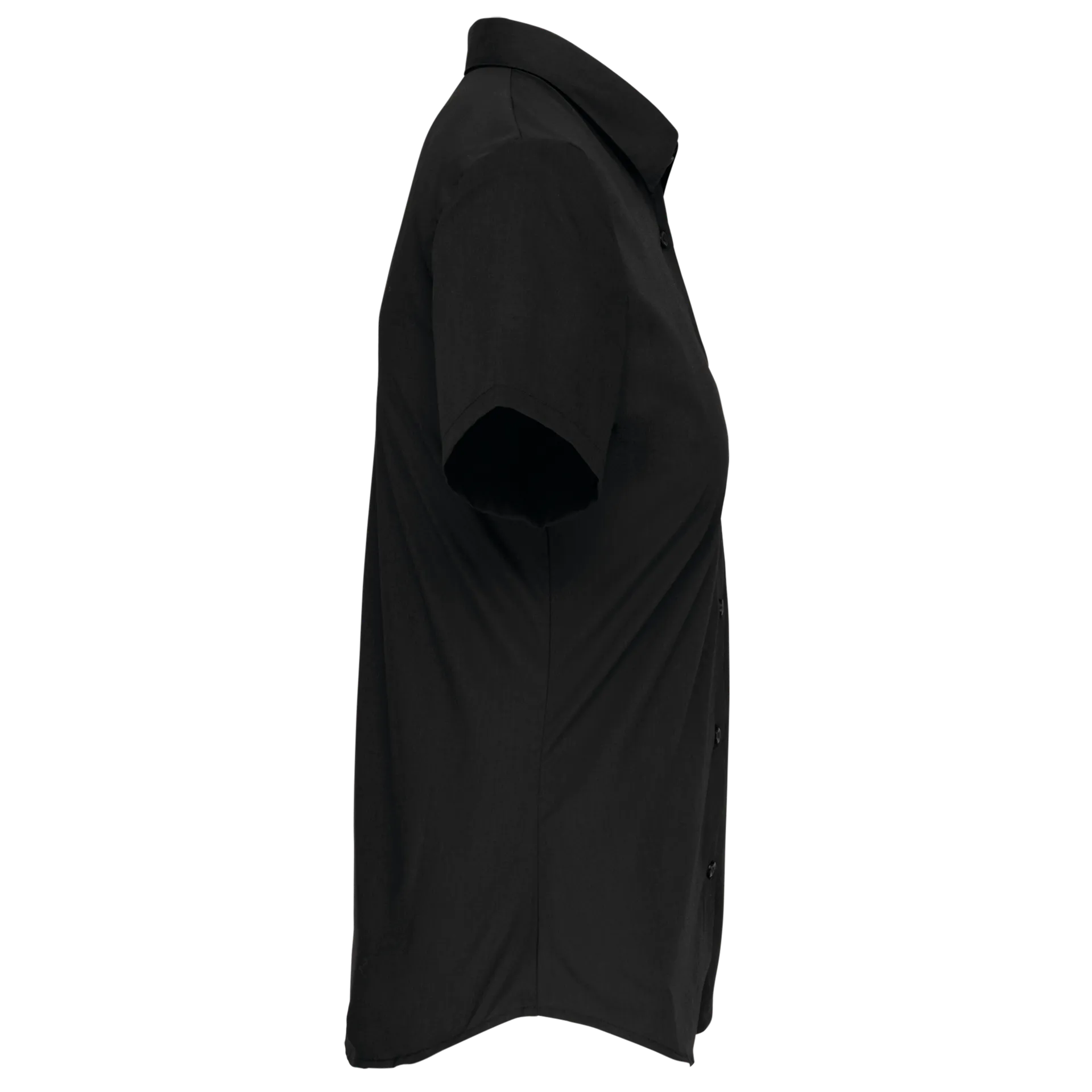 Damen Popelinebluse Kurzarm