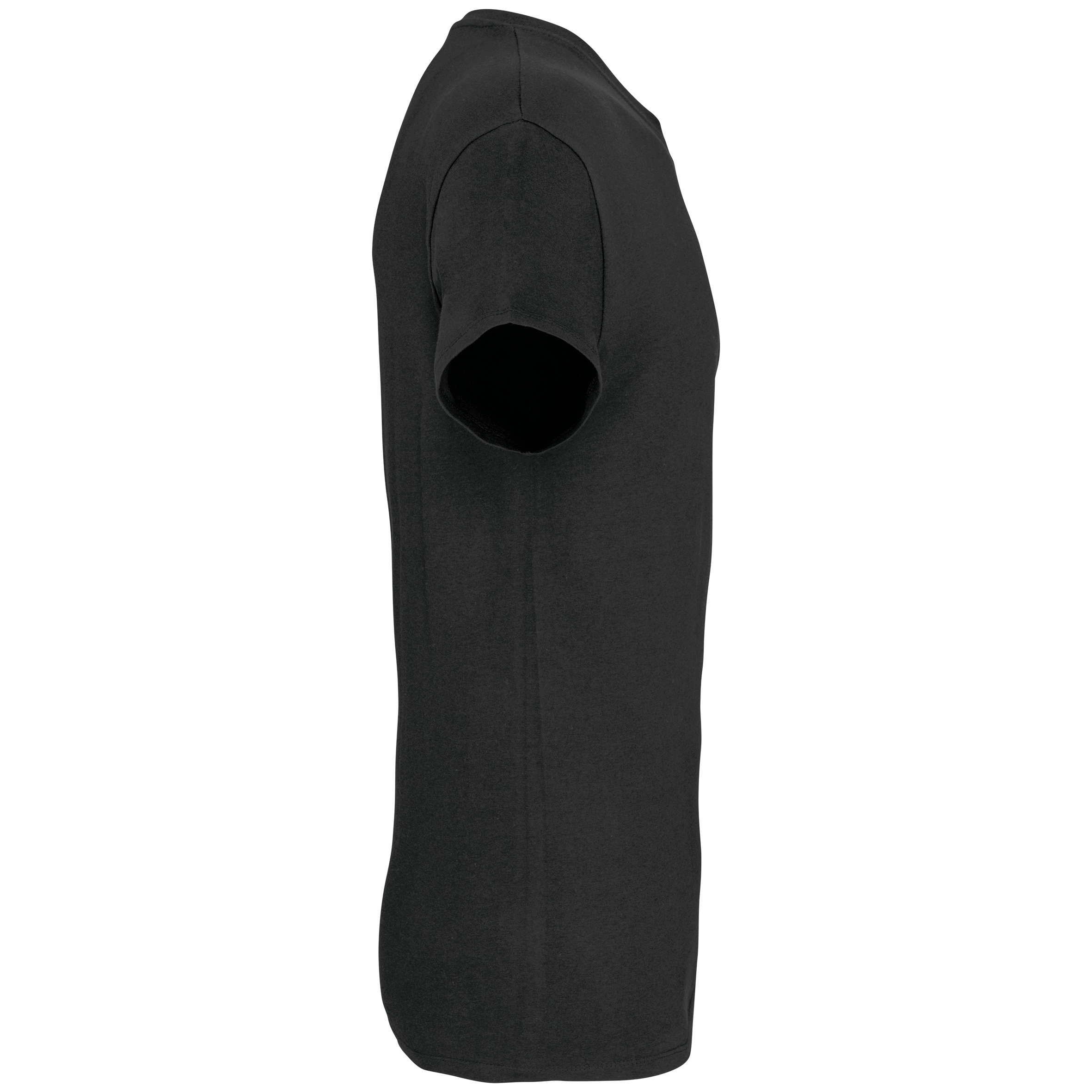 Herren-T-Shirt Bio150 IC