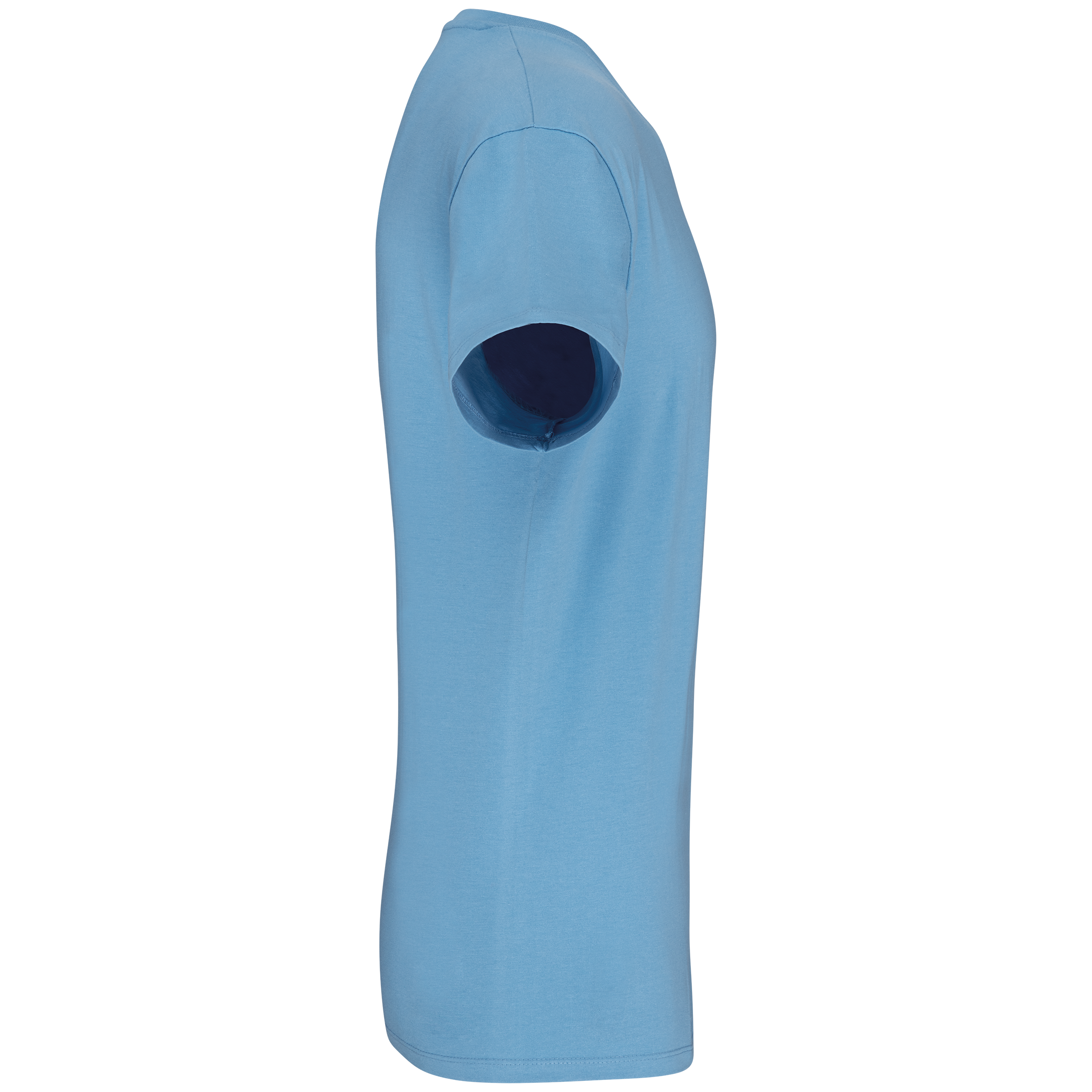 Herren-T-Shirt Bio150 IC