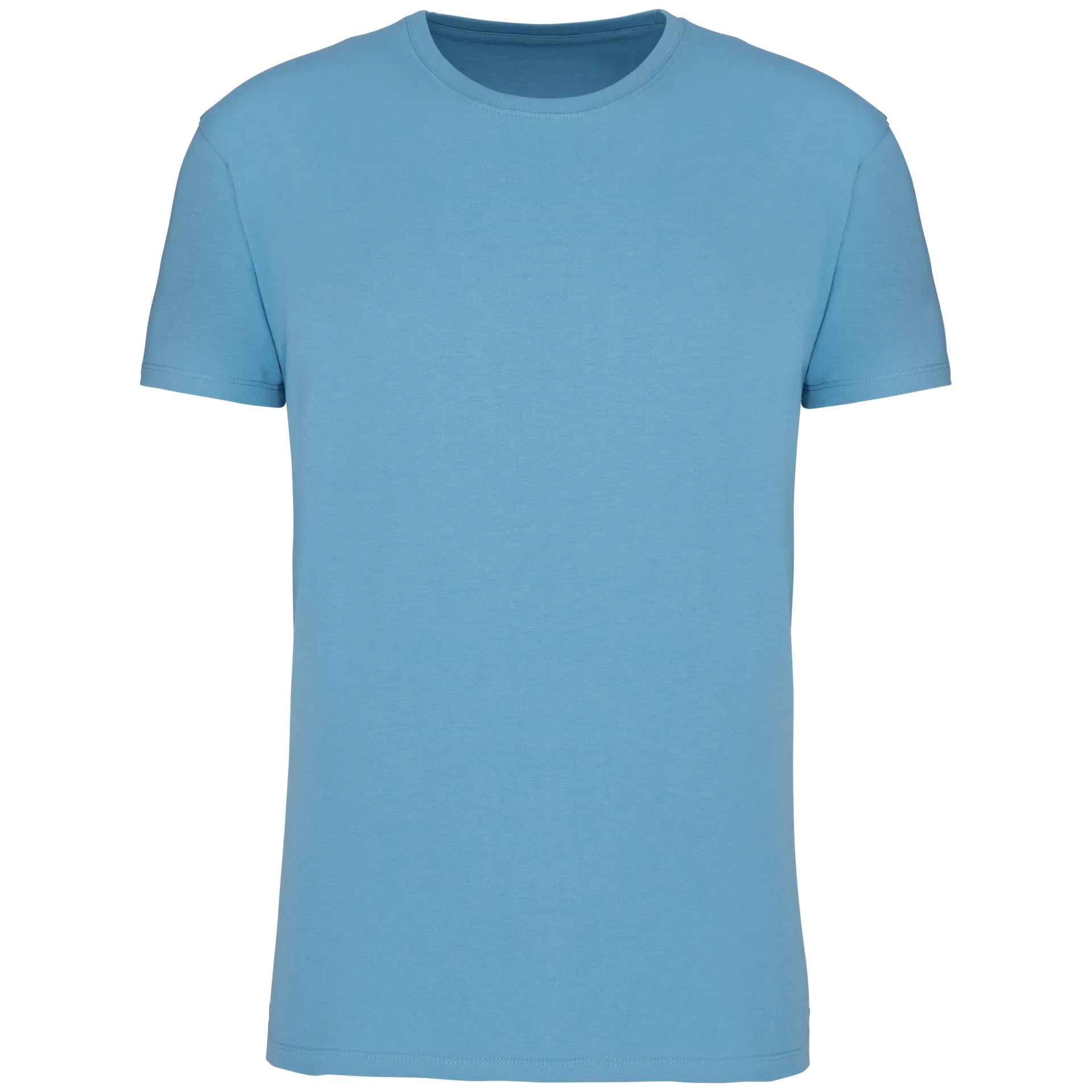 Herren T-Shirt Bio190 IC