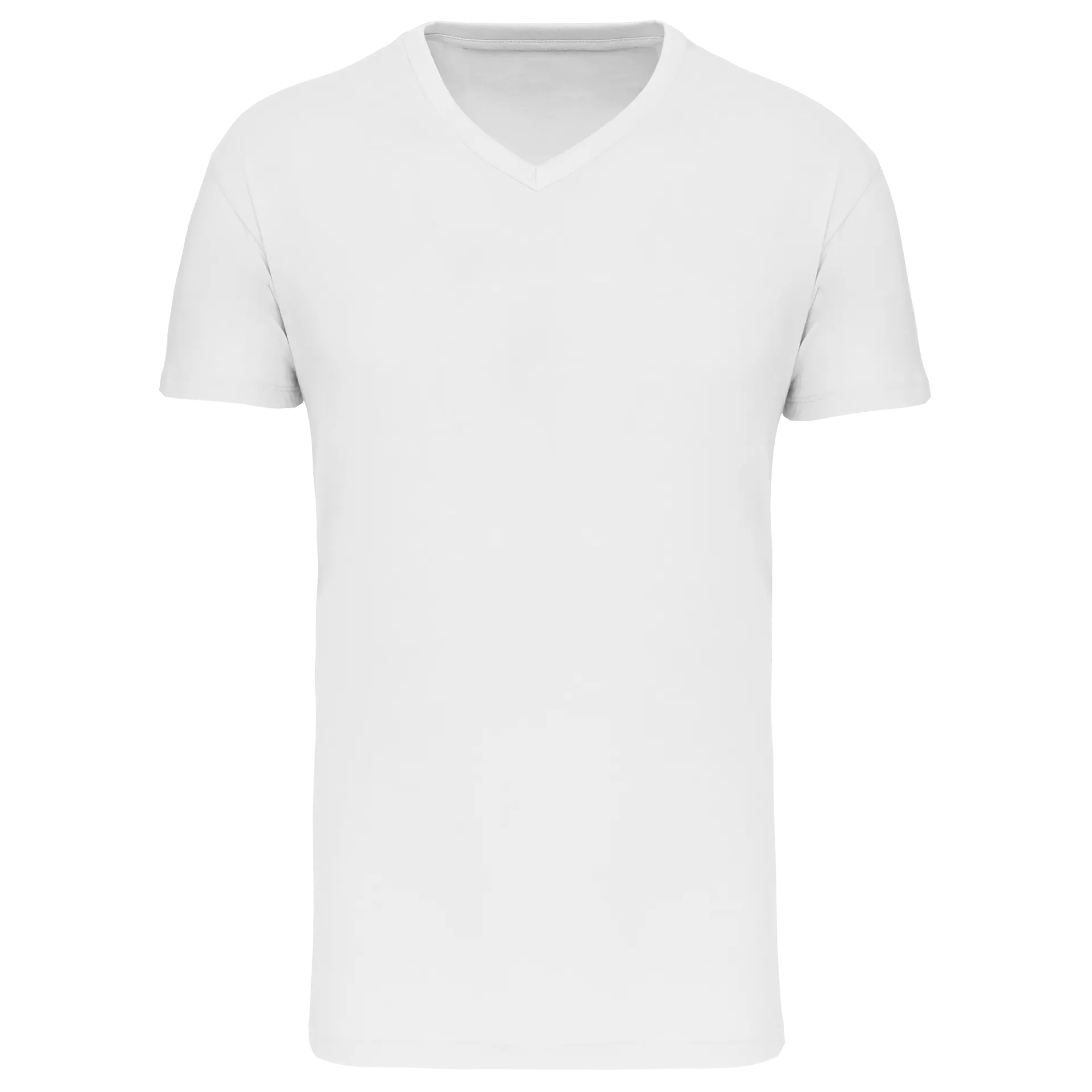Herren-T-Shirt Bio 150 IC mit V-Ausschnitt