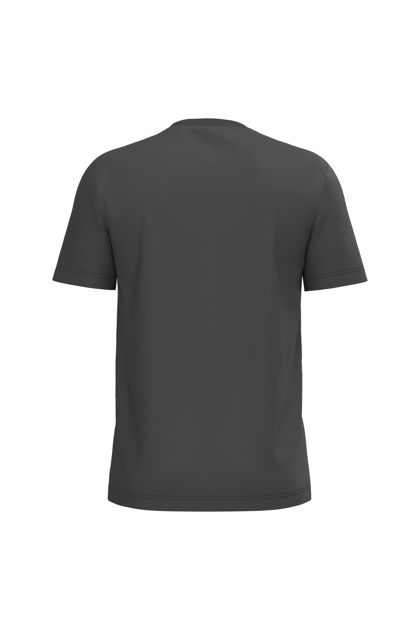 Herren T-Shirt Bio190 IC