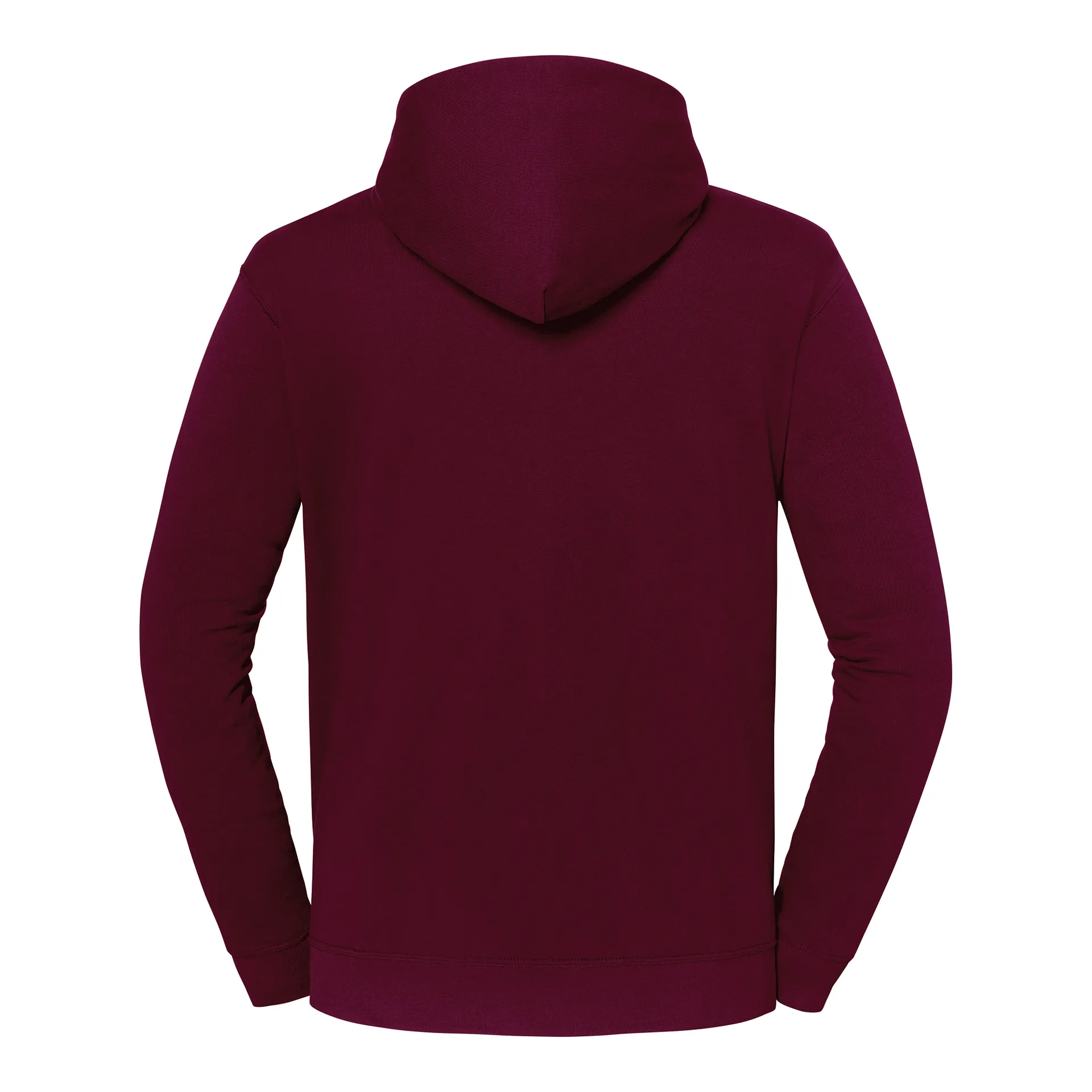 Kapuzen-Sweatshirt Iconic 250