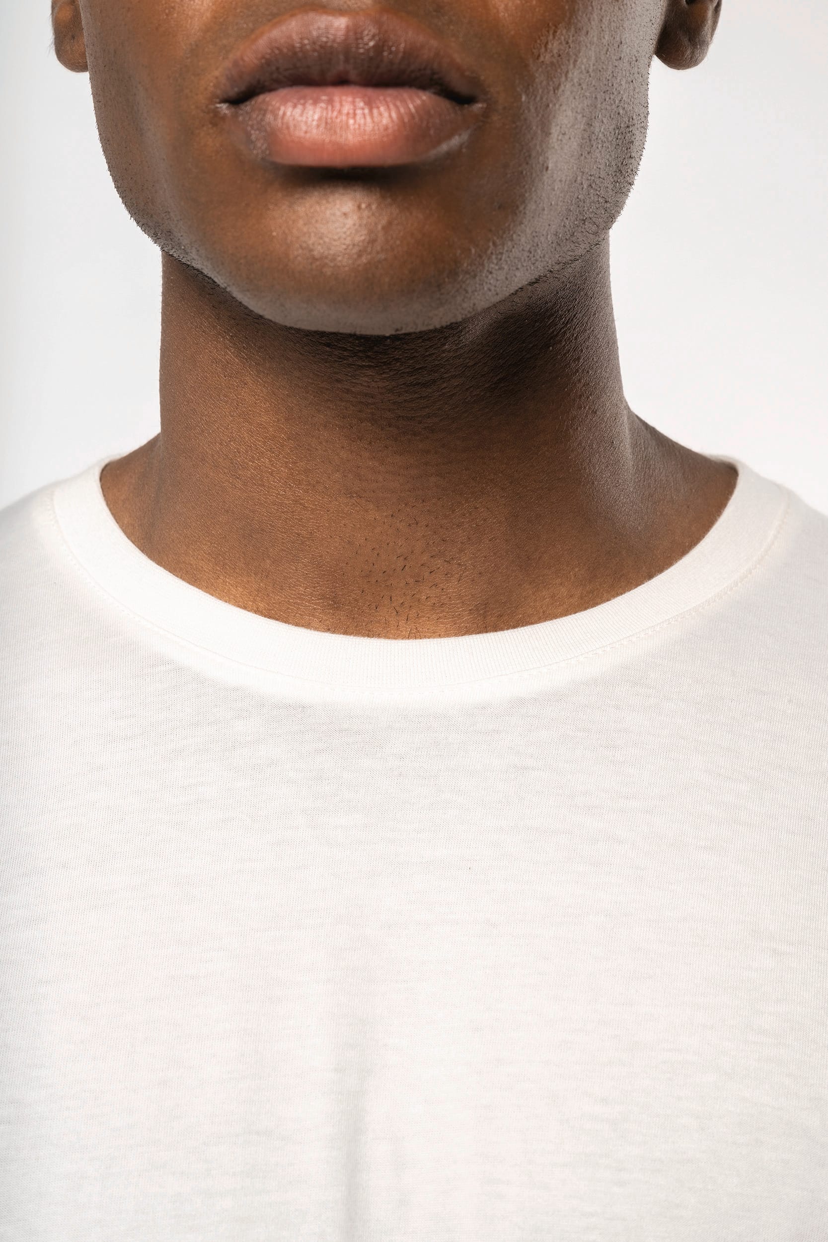 Herren-T-Shirt Bio150 IC