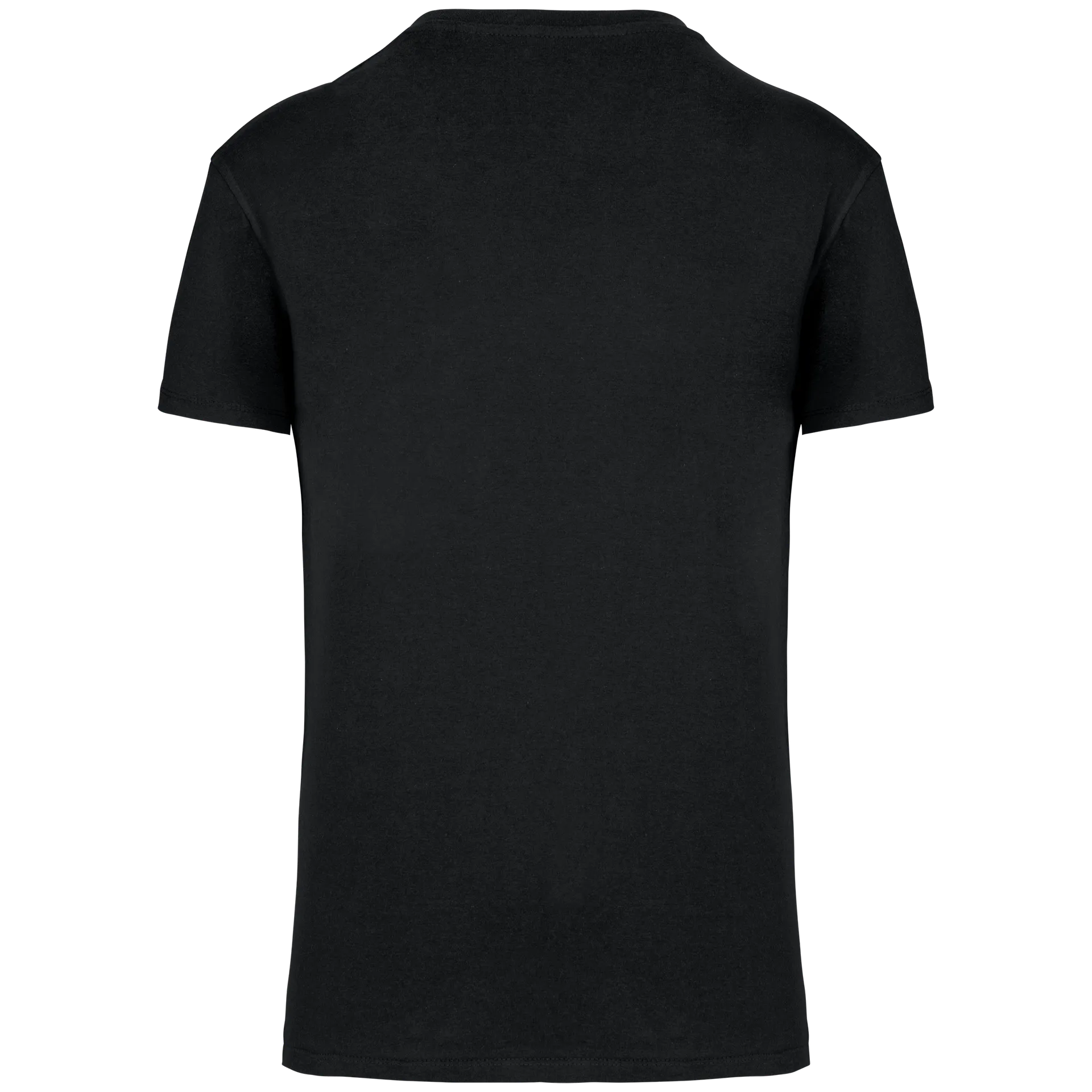 Herren T-Shirt Bio190 IC