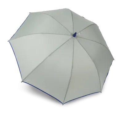 Storm Grey / Royal Blue